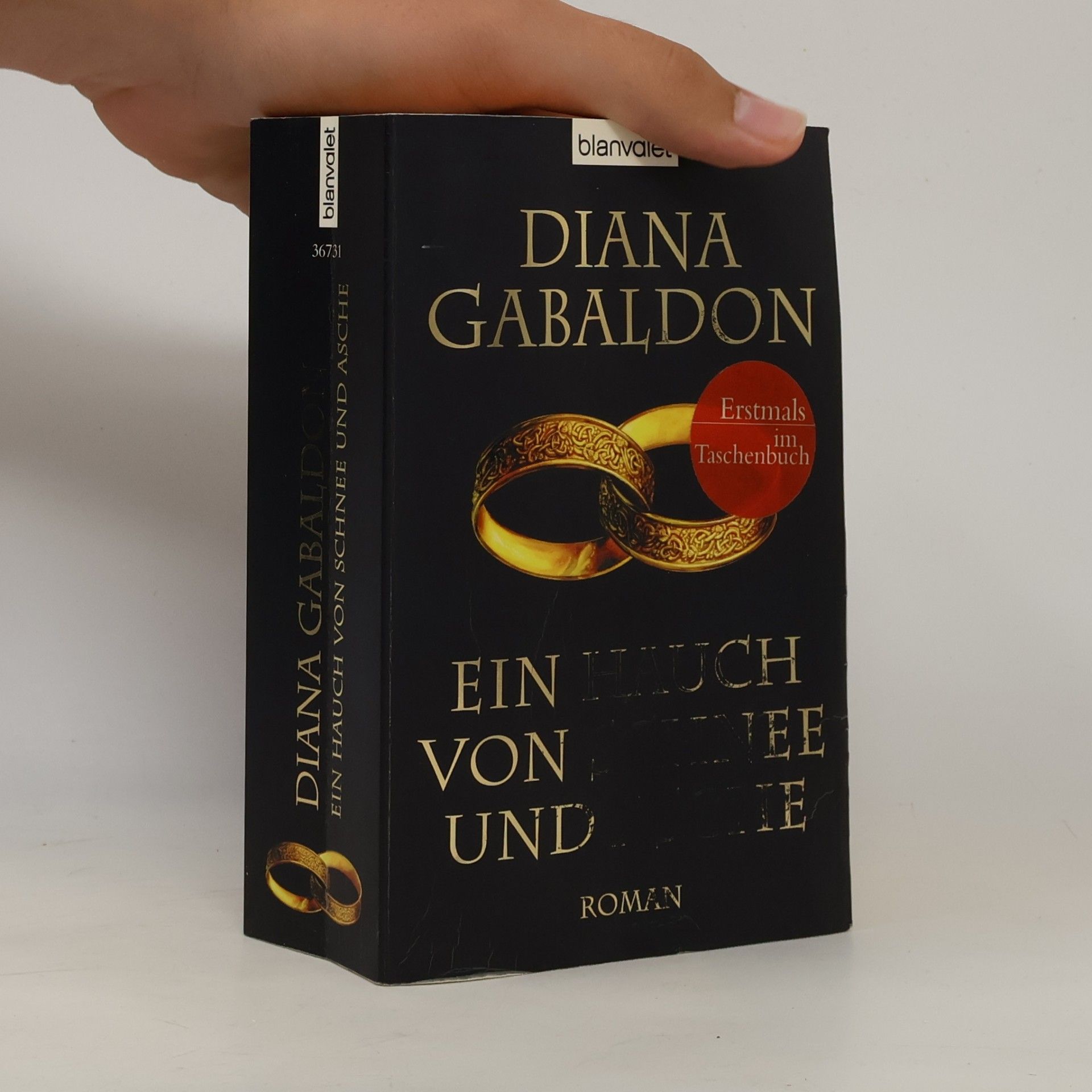 Diana Gabaldon Ein Hauch von Schnee und Asche