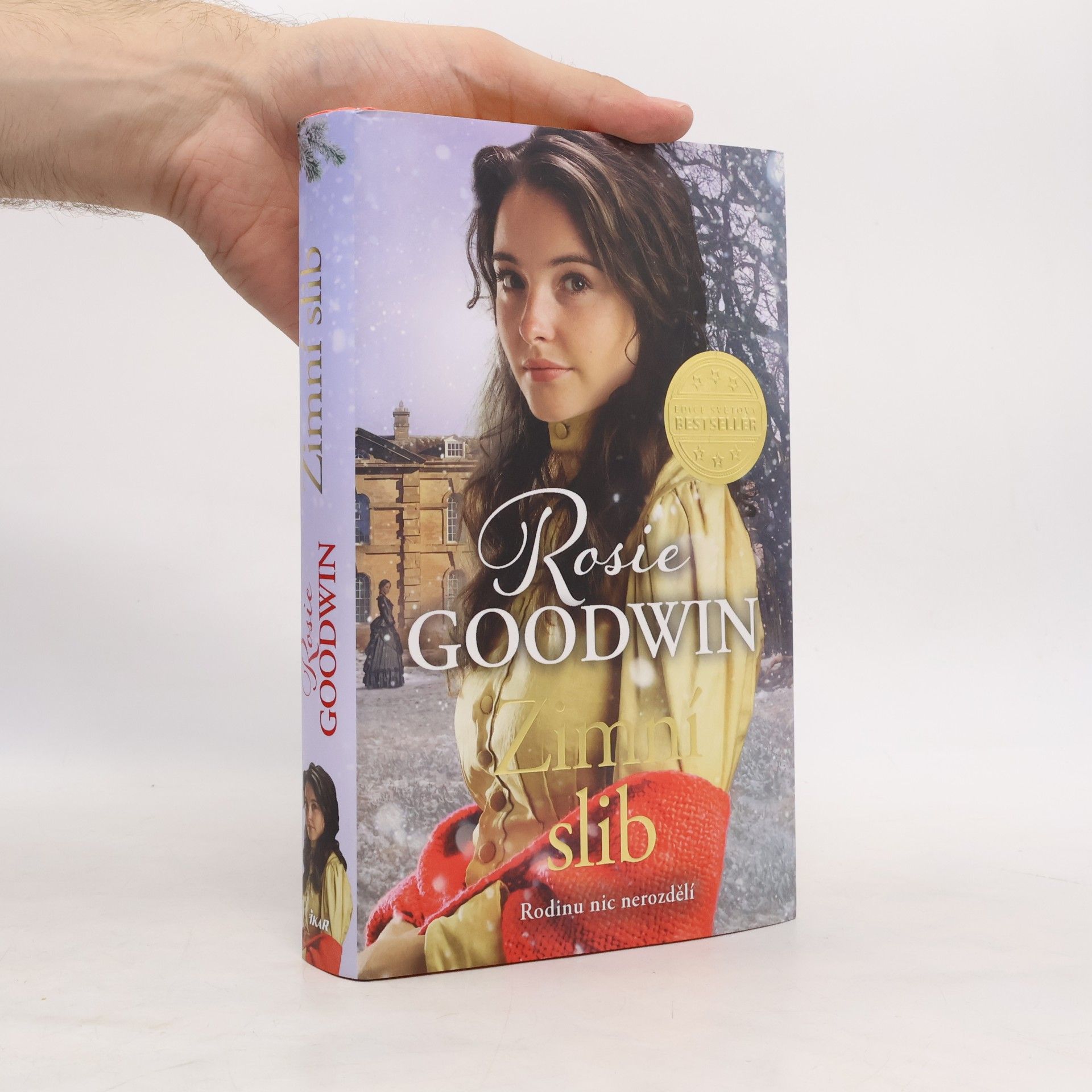 Rosie Goodwin Zimní slib