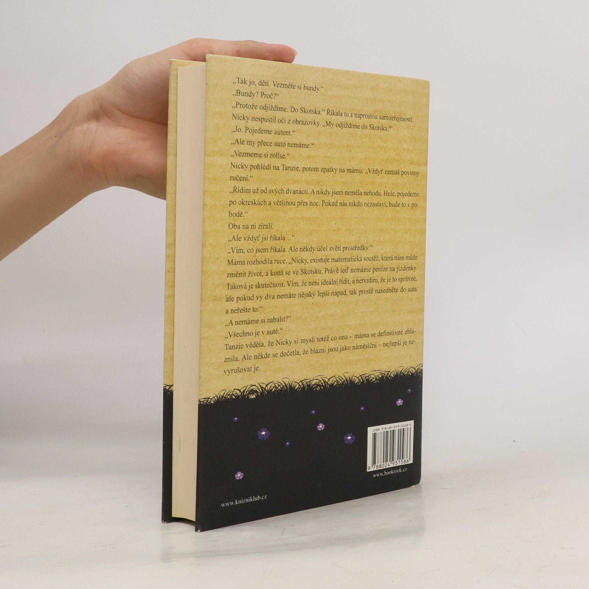 Jojo Moyes Jeden plus jedna