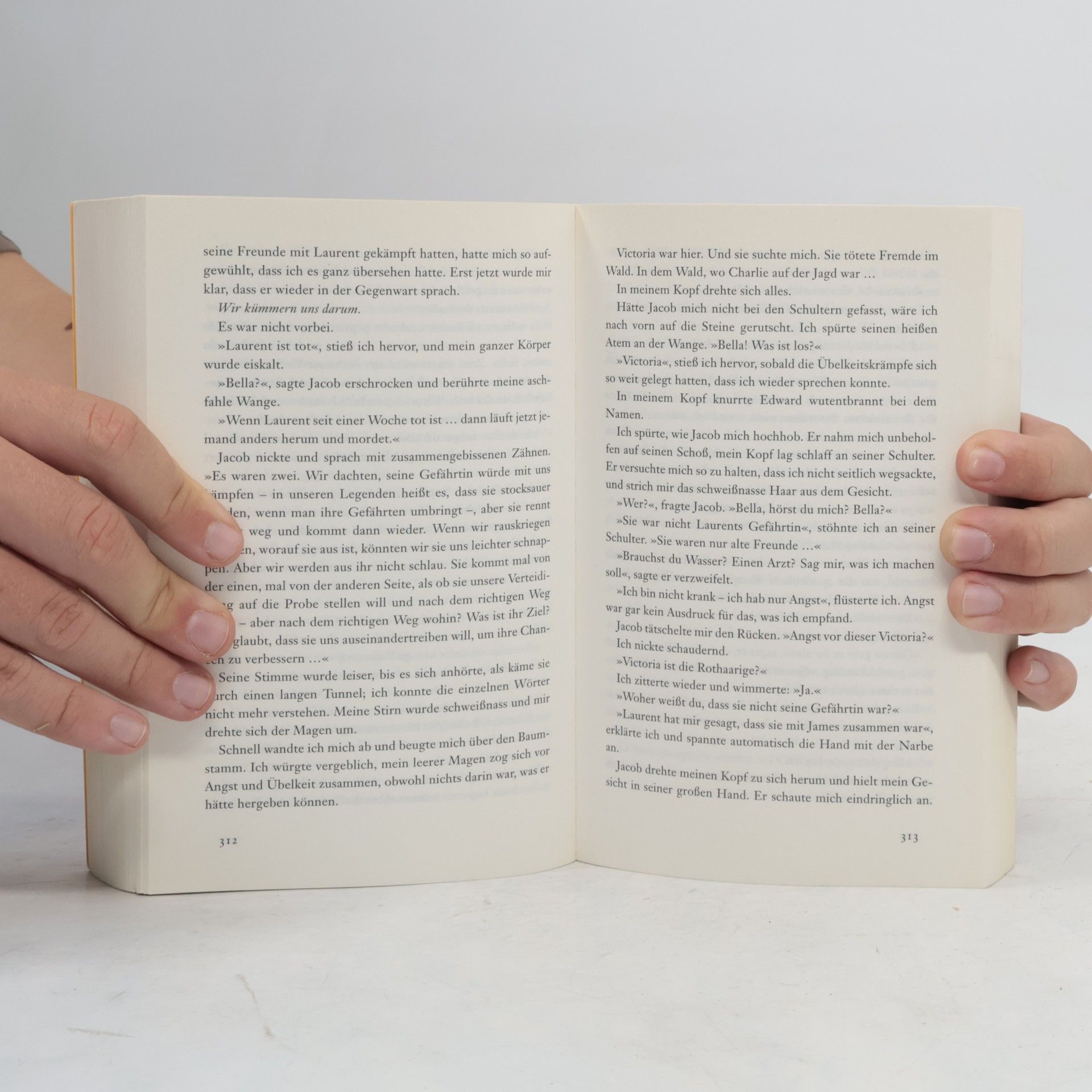 Stephenie Meyer Biss zur Mittagsstunde