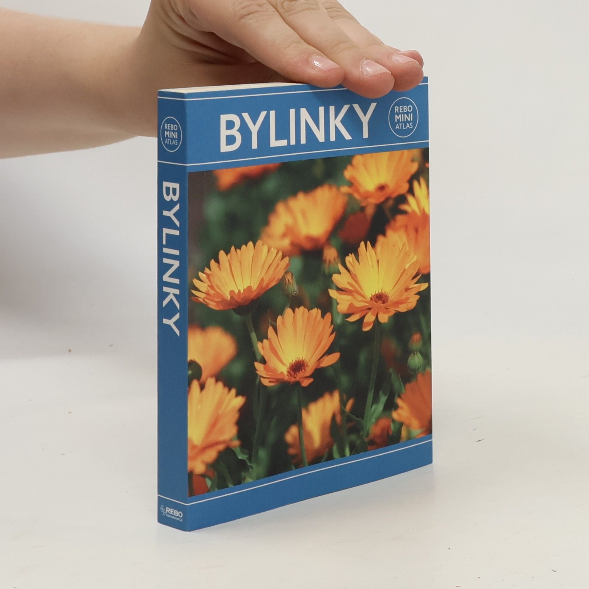 Hanneke van Dijk Bylinky