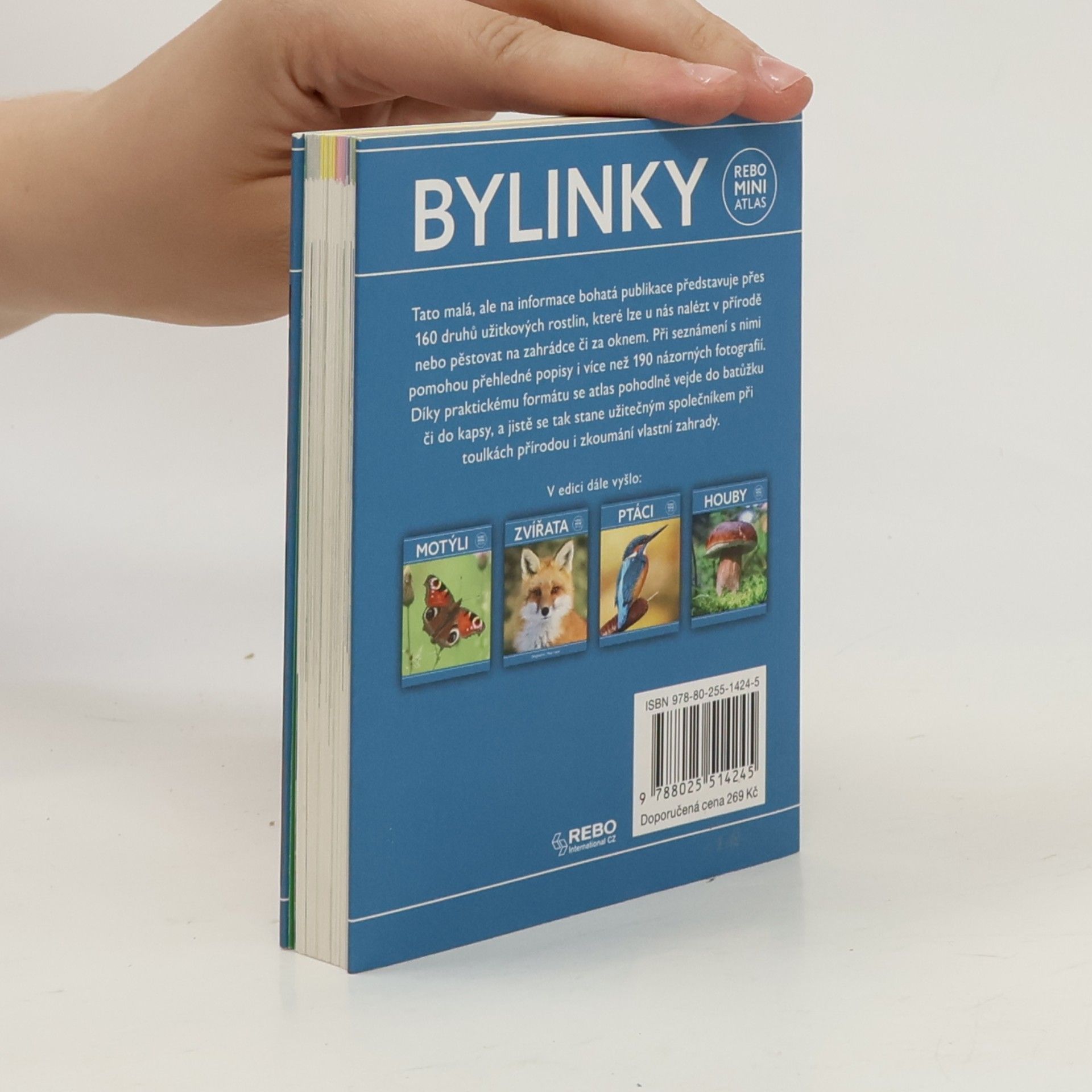 Hanneke van Dijk Bylinky