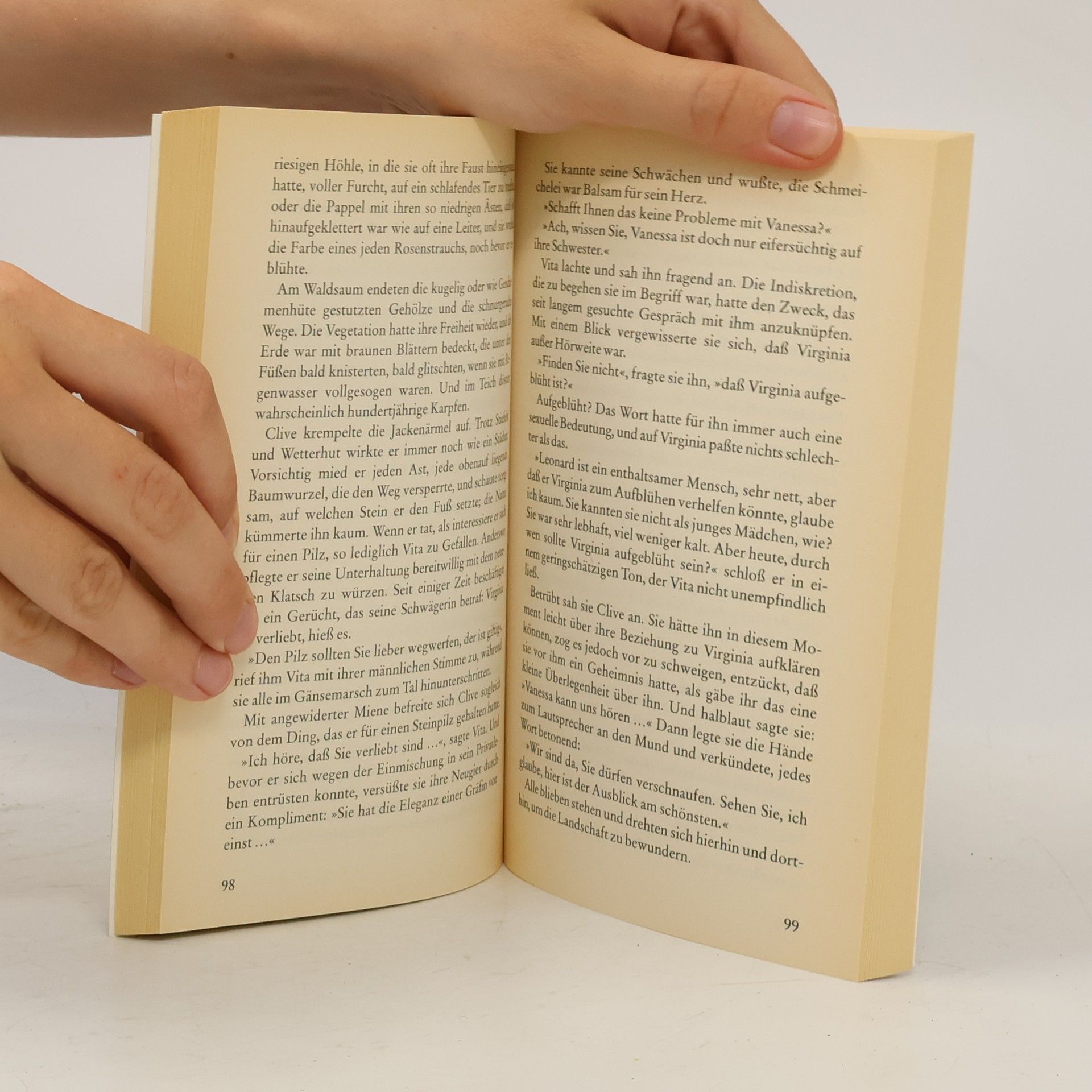 Christine Orban Eine Liebe der Virginia Woolf