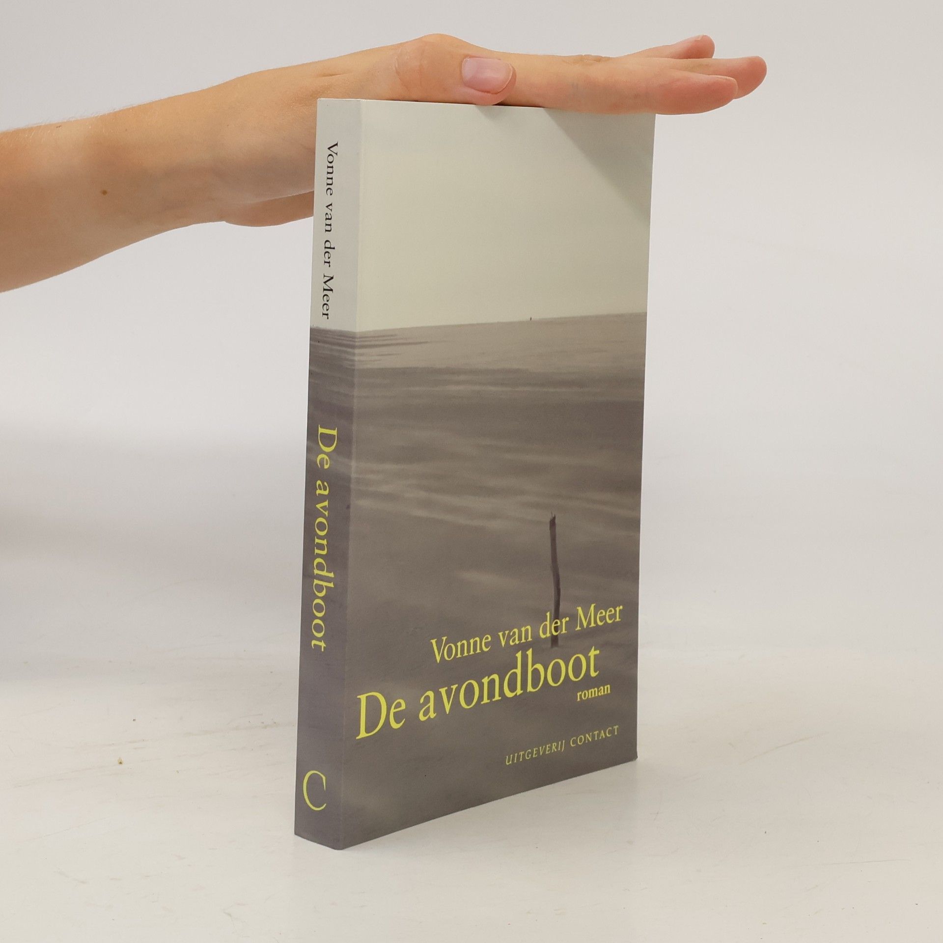Vonne Meer van der De avondboot