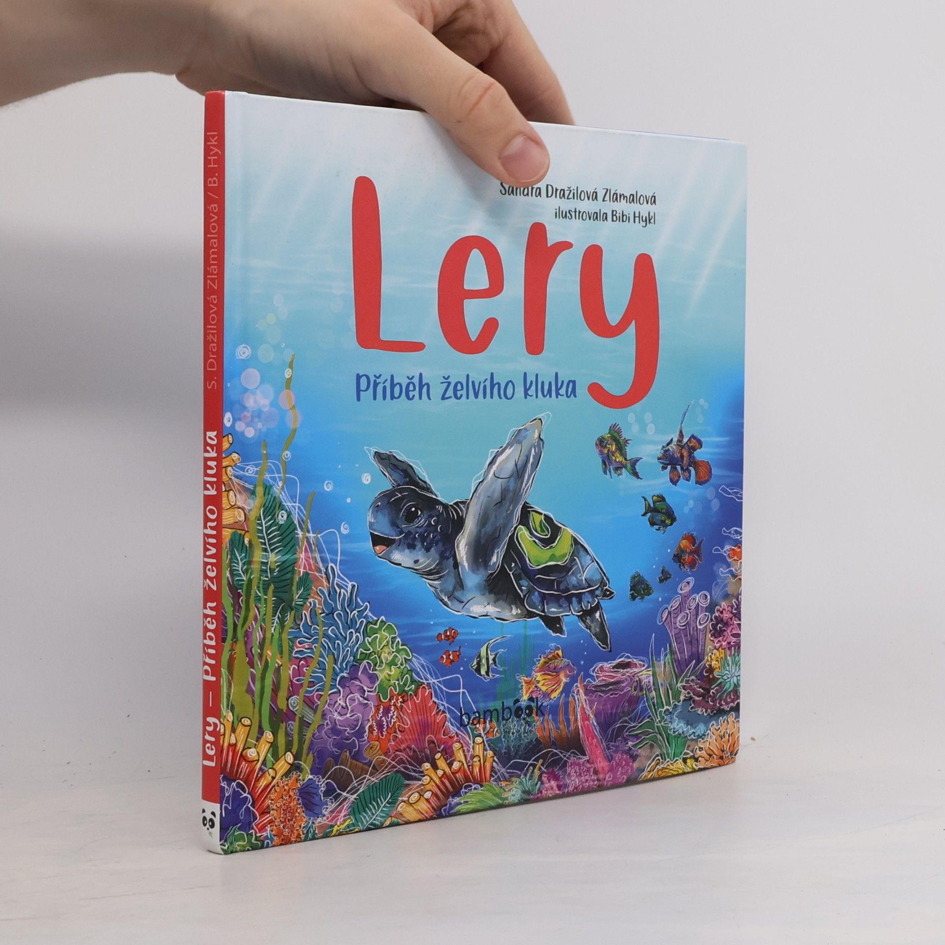 Bibi Hykl Lery : příběh želvího kluka