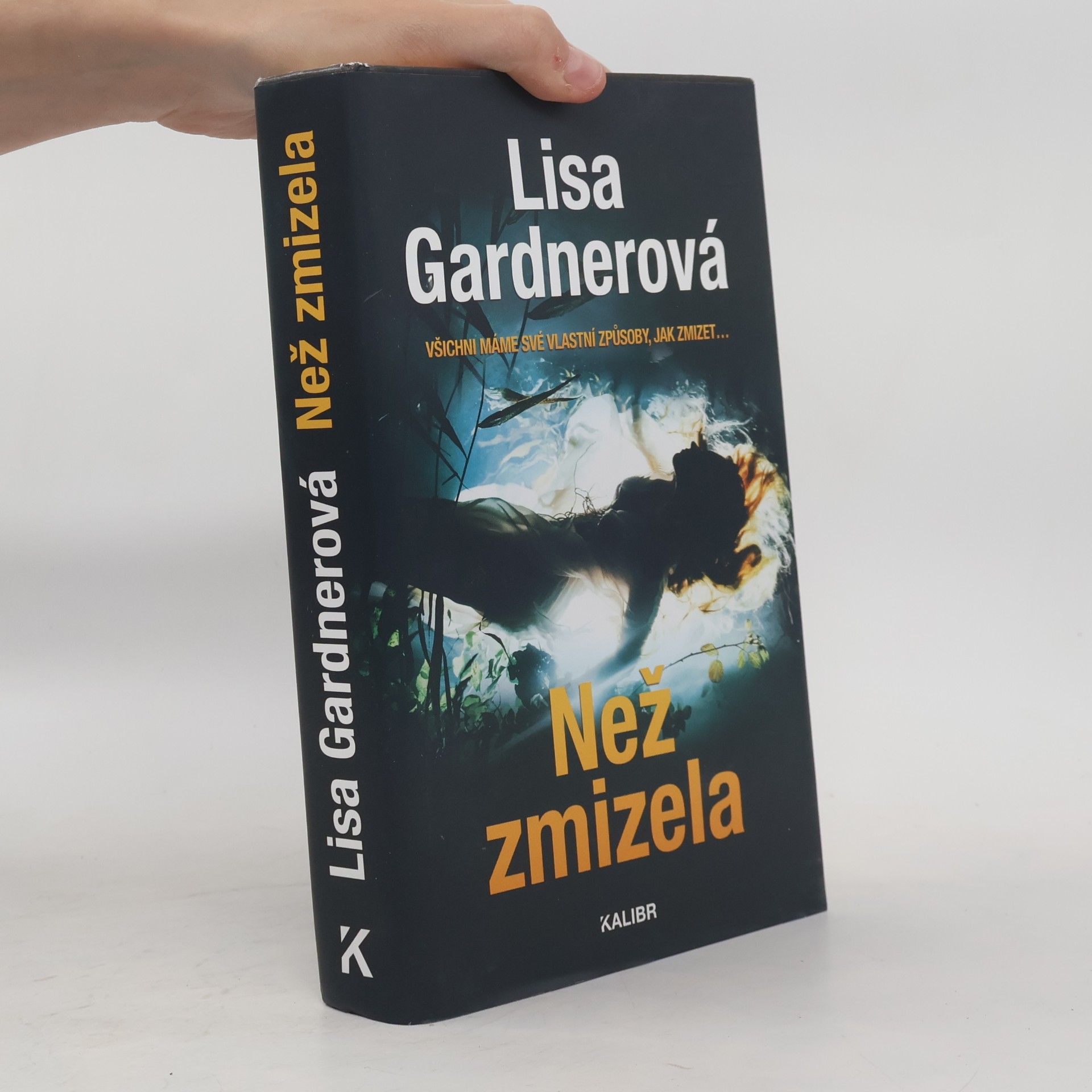 Lisa Gardner Než zmizela