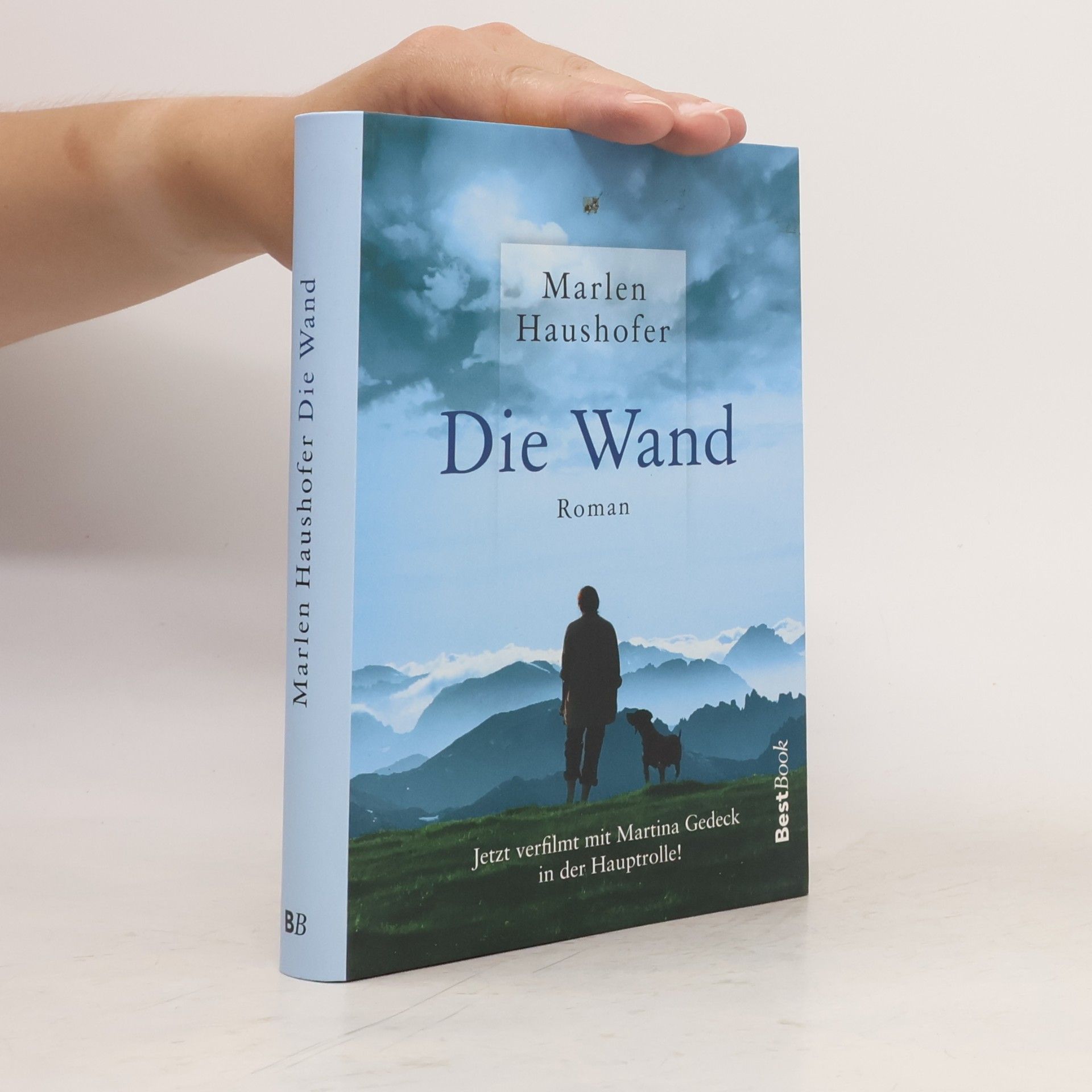 Die Wand