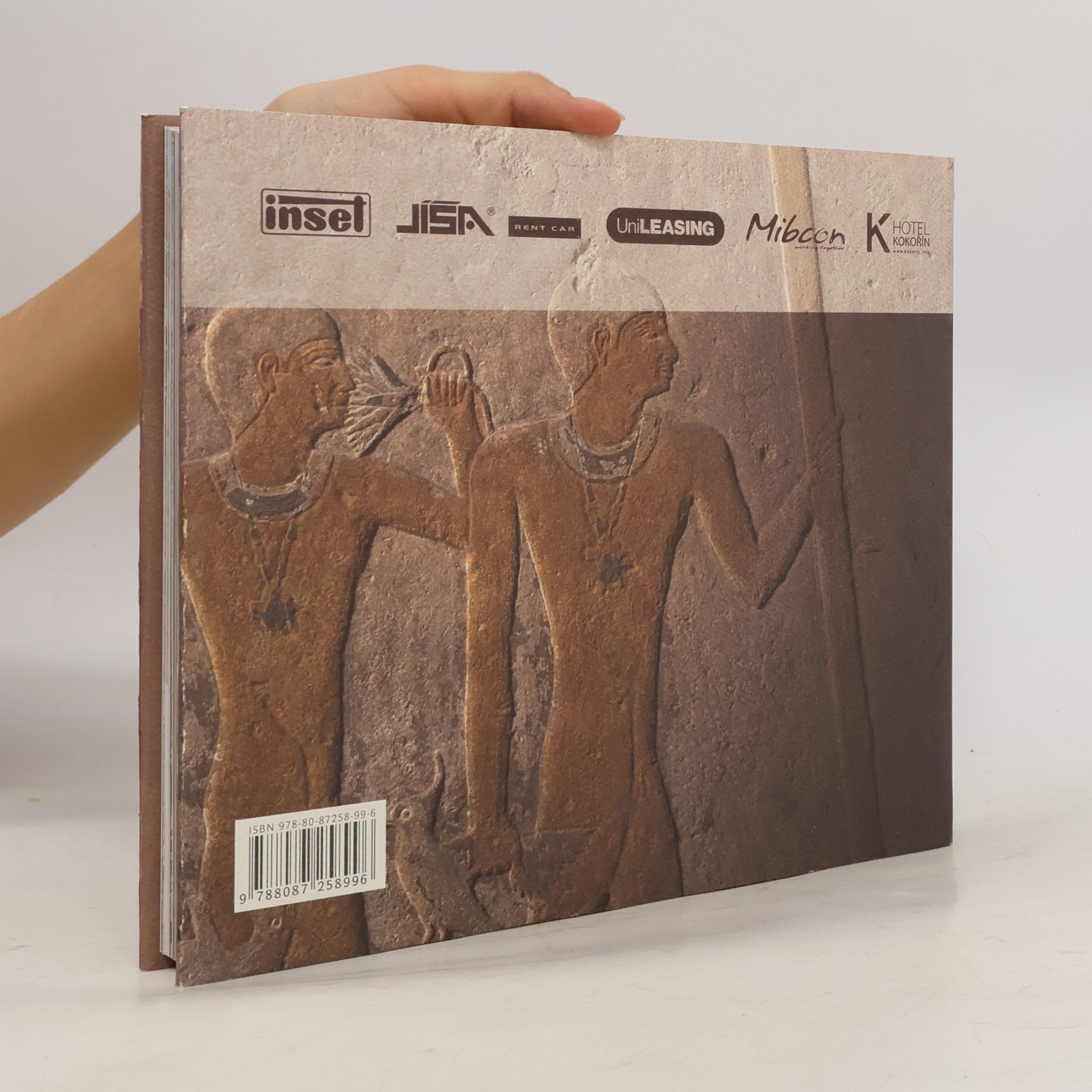 Miroslav Verner Poklady z písku : čeští egyptologové objevují civilizace na Nilu