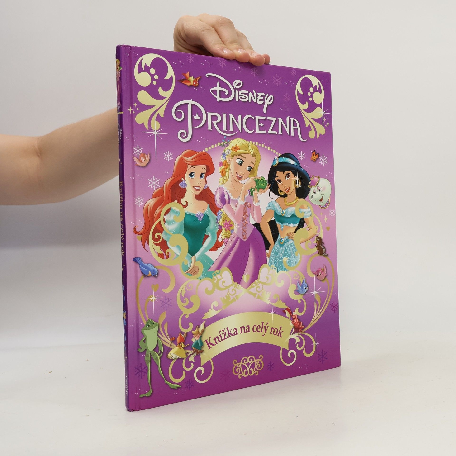 Walt Disney Princezna - Knížka na celý rok