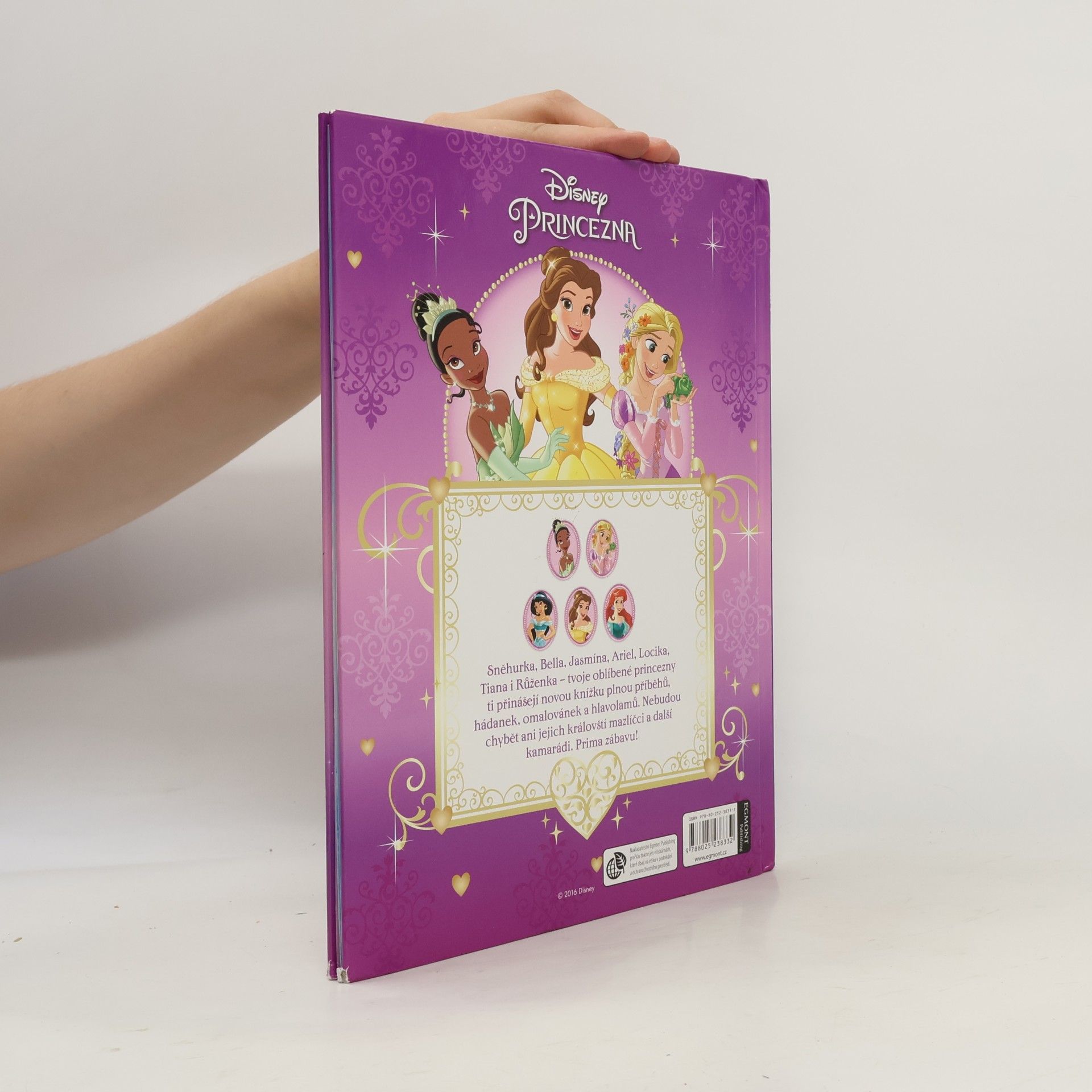 Walt Disney Princezna - Knížka na celý rok