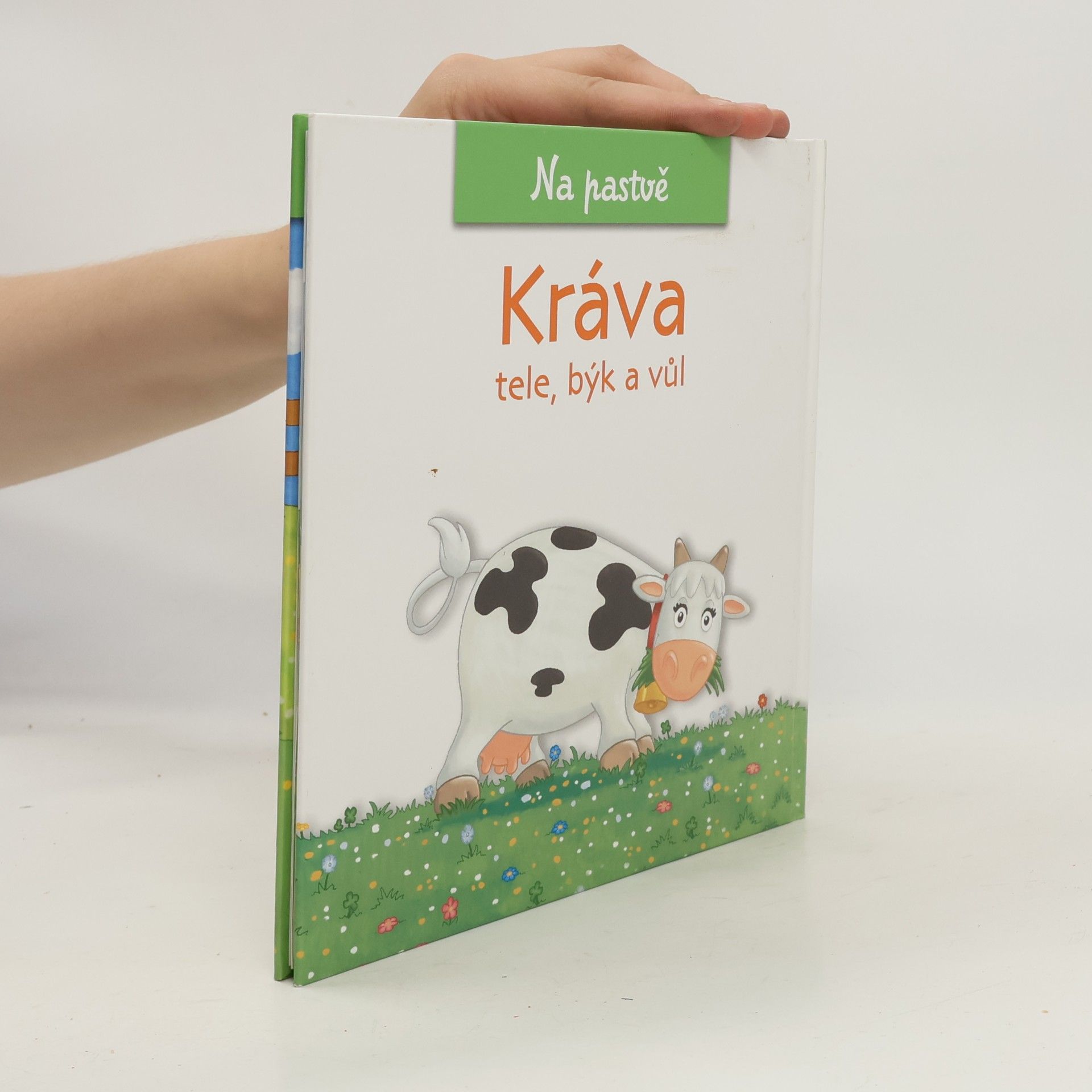 Christine Serbource Kráva, tele, býk a vůl