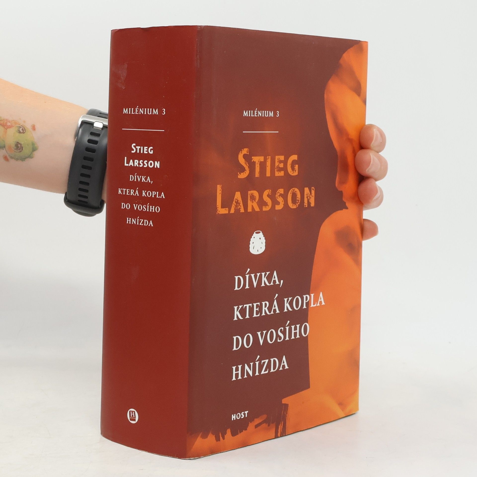 Stieg Larsson Dívka, která kopla do vosího hnízda