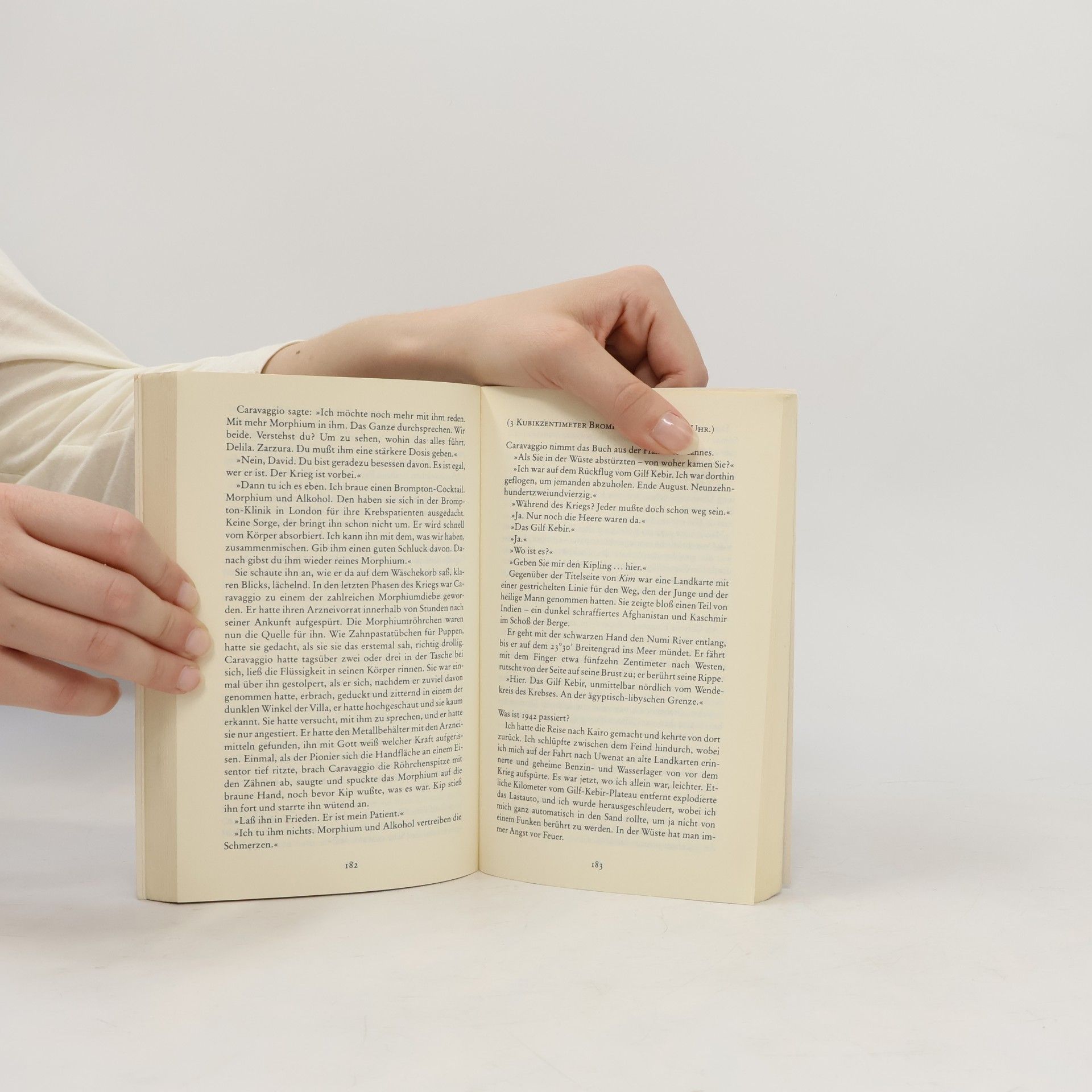 Michael Ondaatje Der englische Patient
