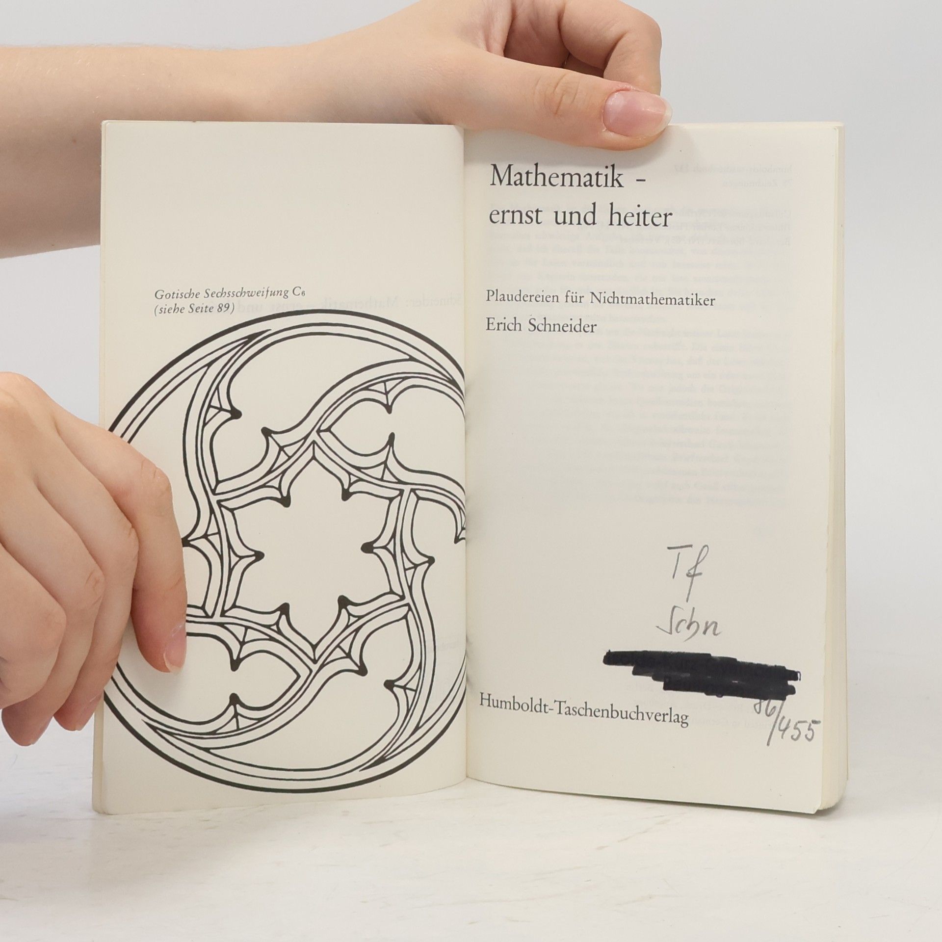 Erich Schneider Mathematik ernst und heiter