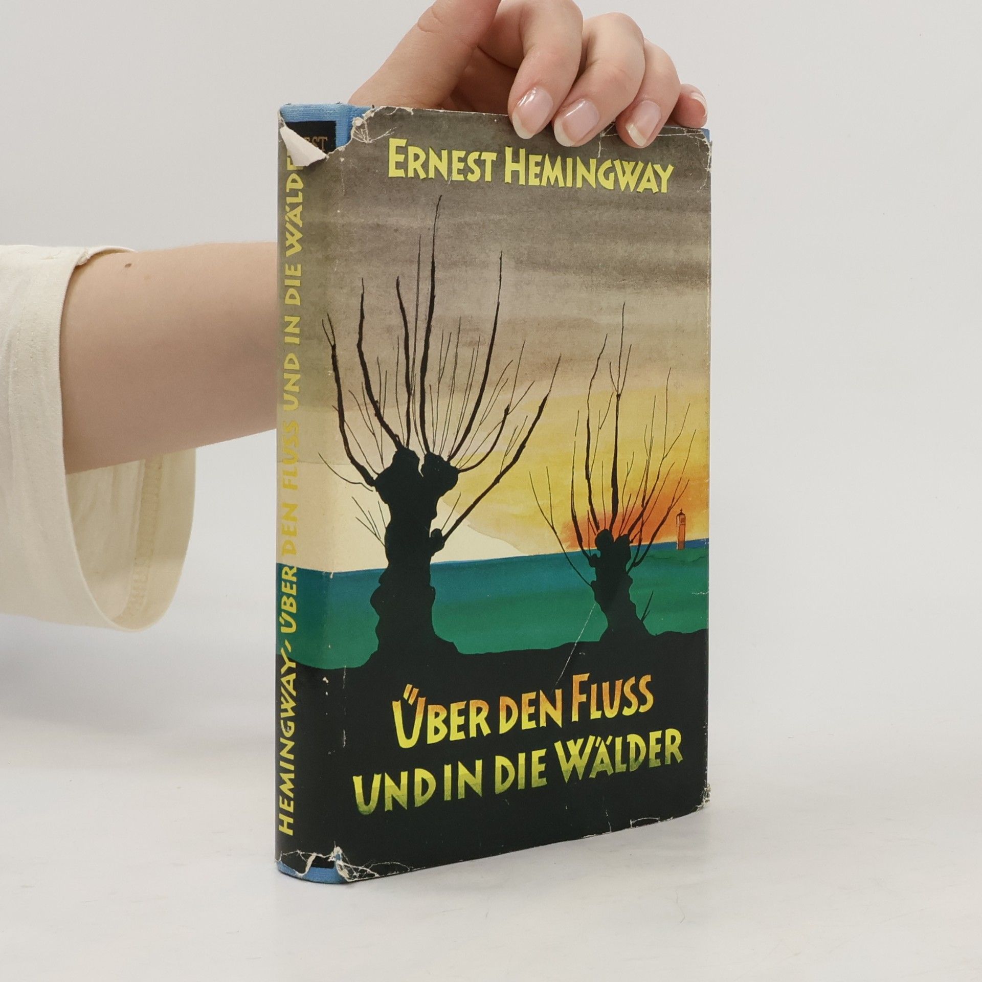 Ernest Hemingway Über den Fluss und in die Wälder