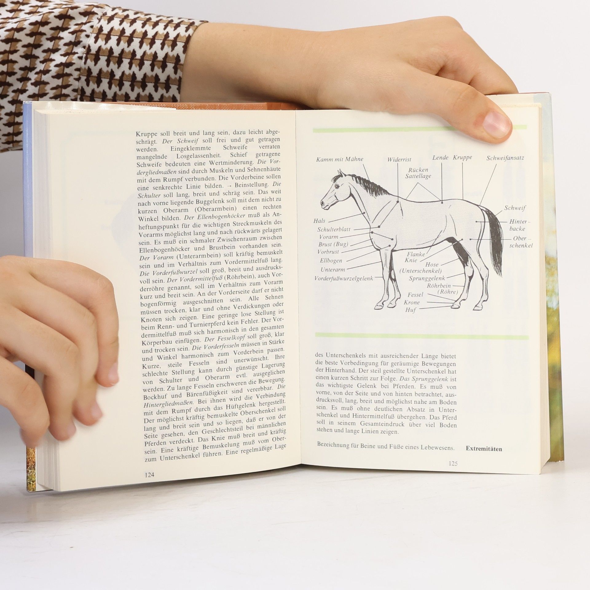 Auteurscollectief Reiten A-Z