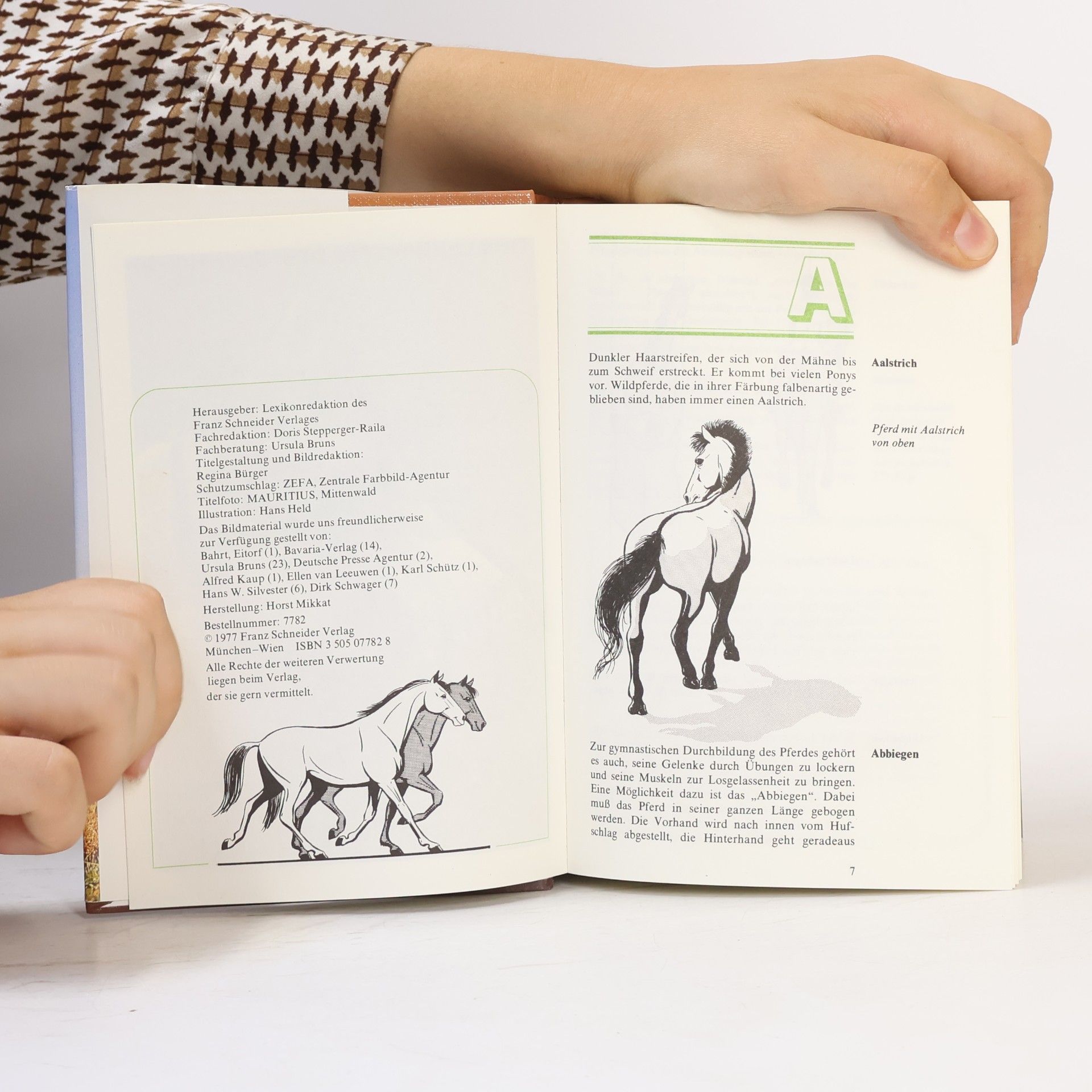 Auteurscollectief Reiten A-Z