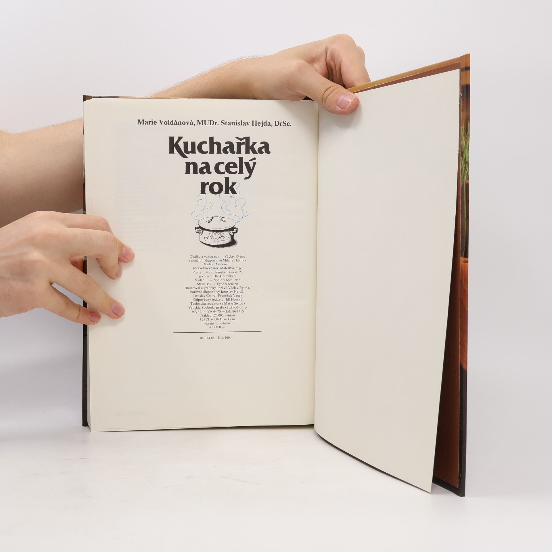 Marie Voldánová Kuchařka na celý rok