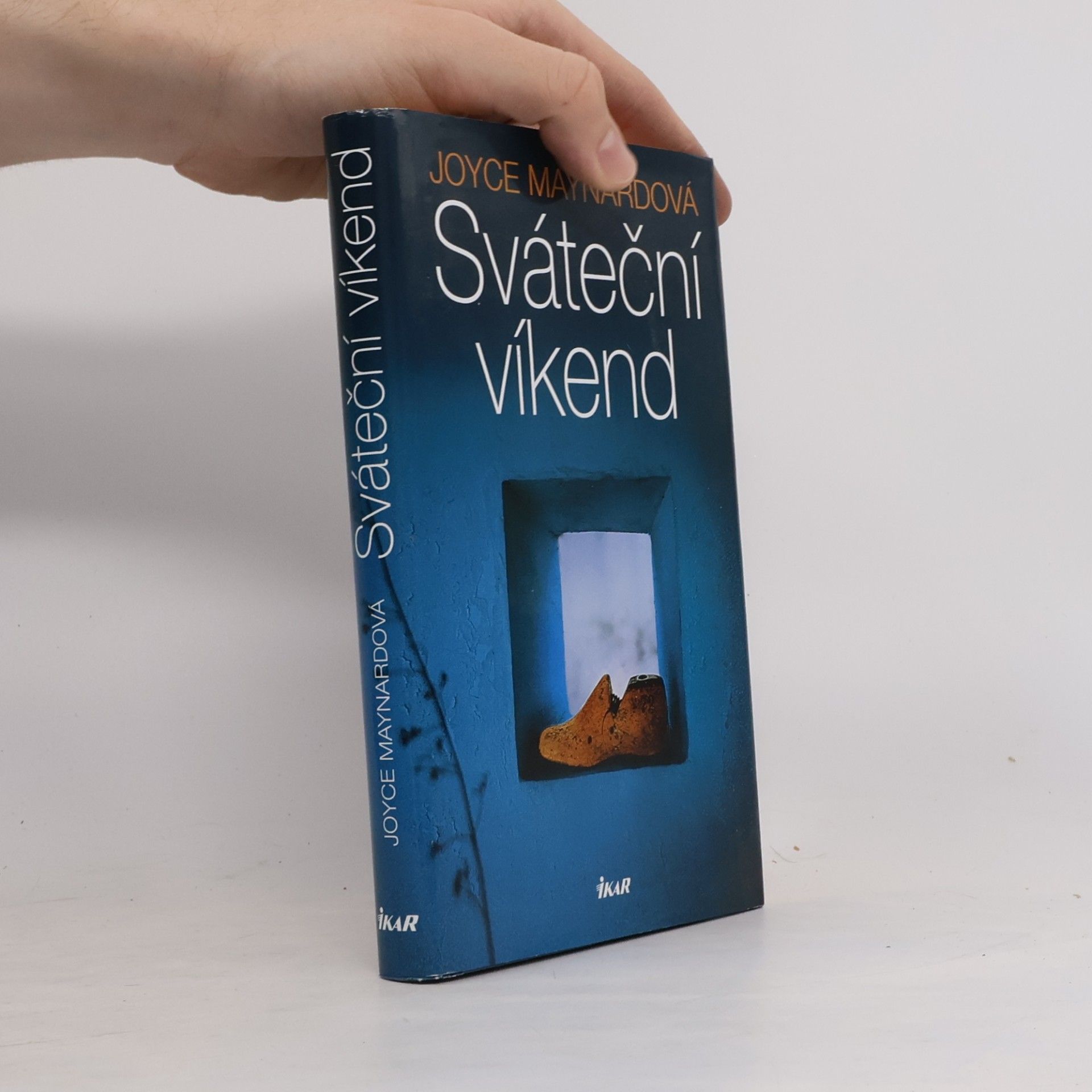 Joyce Maynard Sváteční víkend