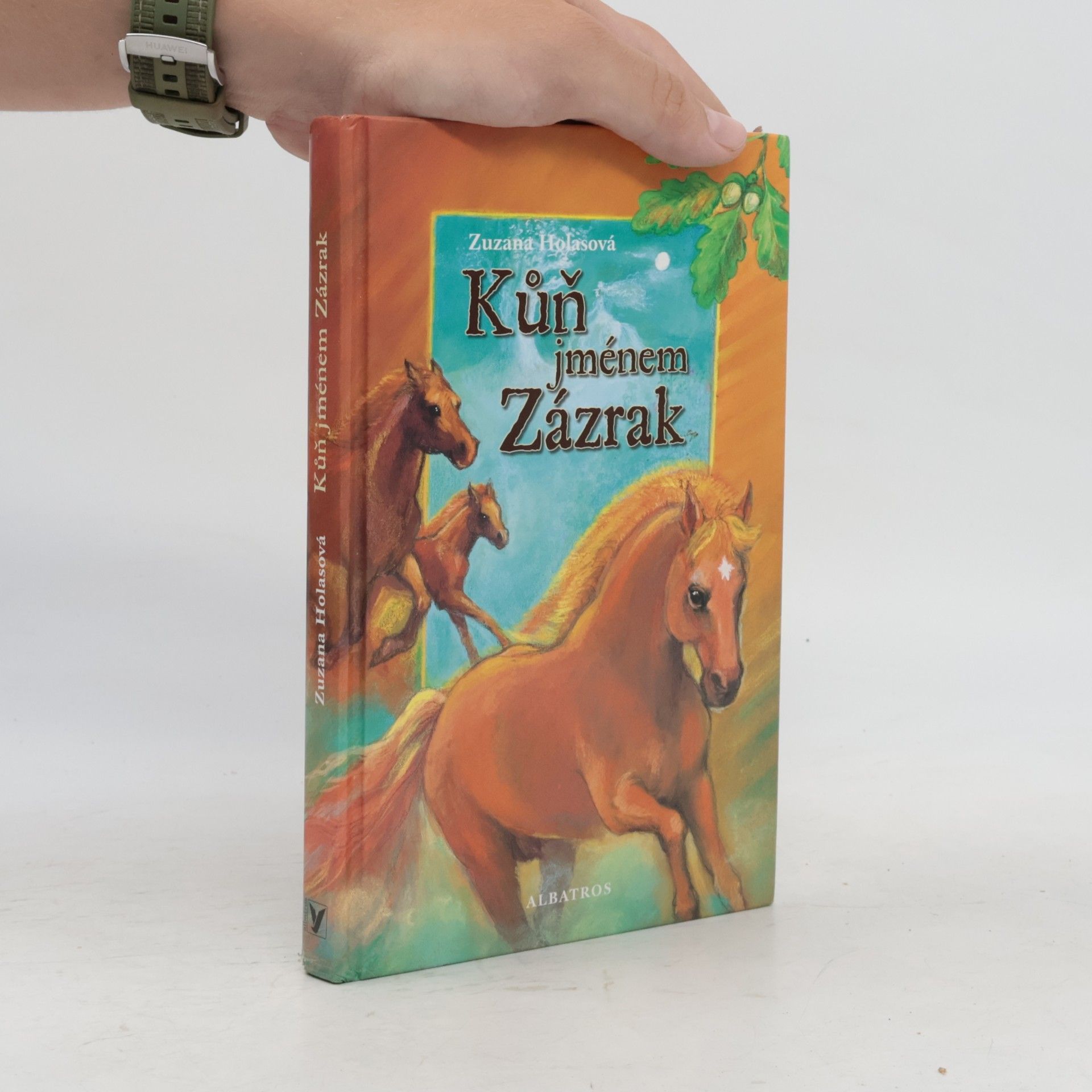 Zuzana Holasová Kůň jménem Zázrak