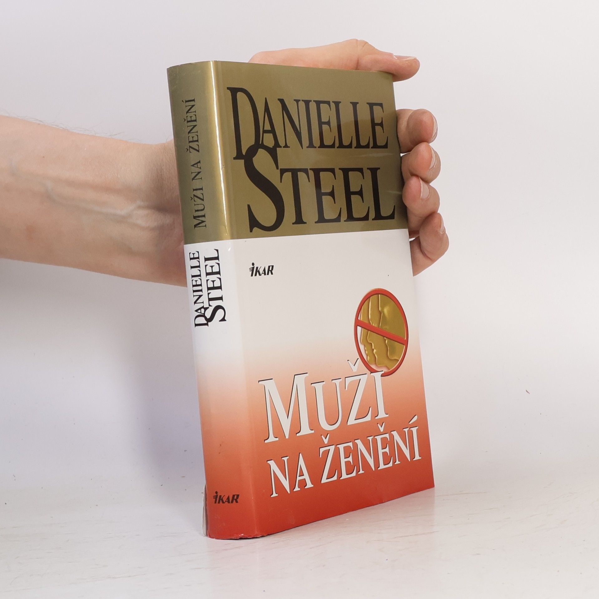 Danielle Steel Muži na ženění