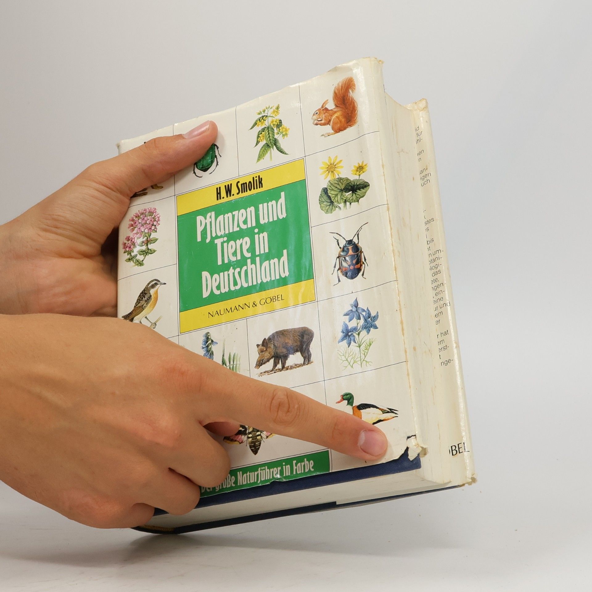 H. W. Smolik Pflanzen und Tiere in Deutschland