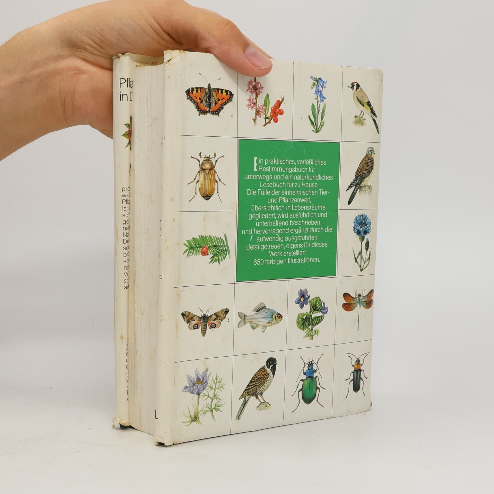 H. W. Smolik Pflanzen und Tiere in Deutschland