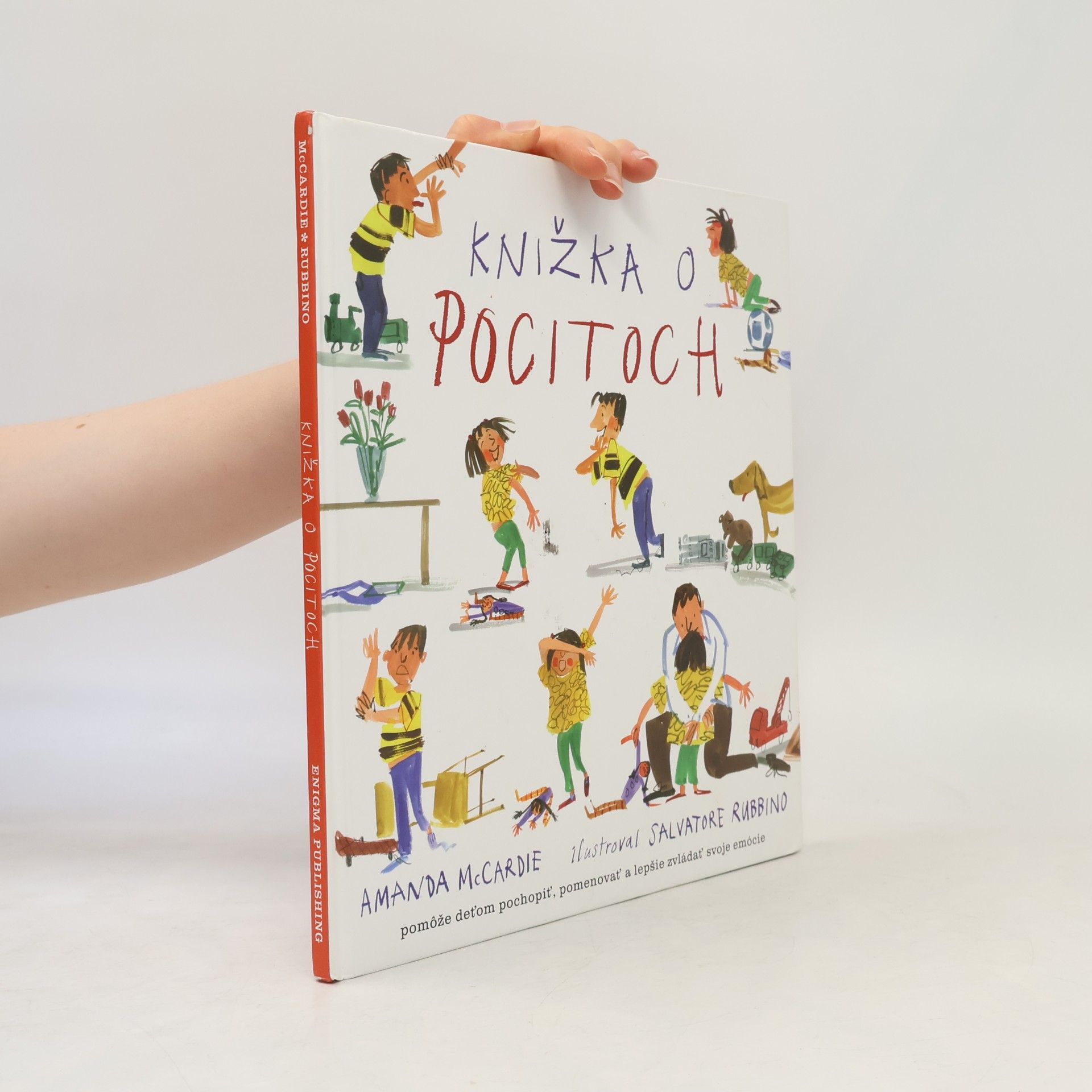 Amanda McCardie Knižka o pocitoch