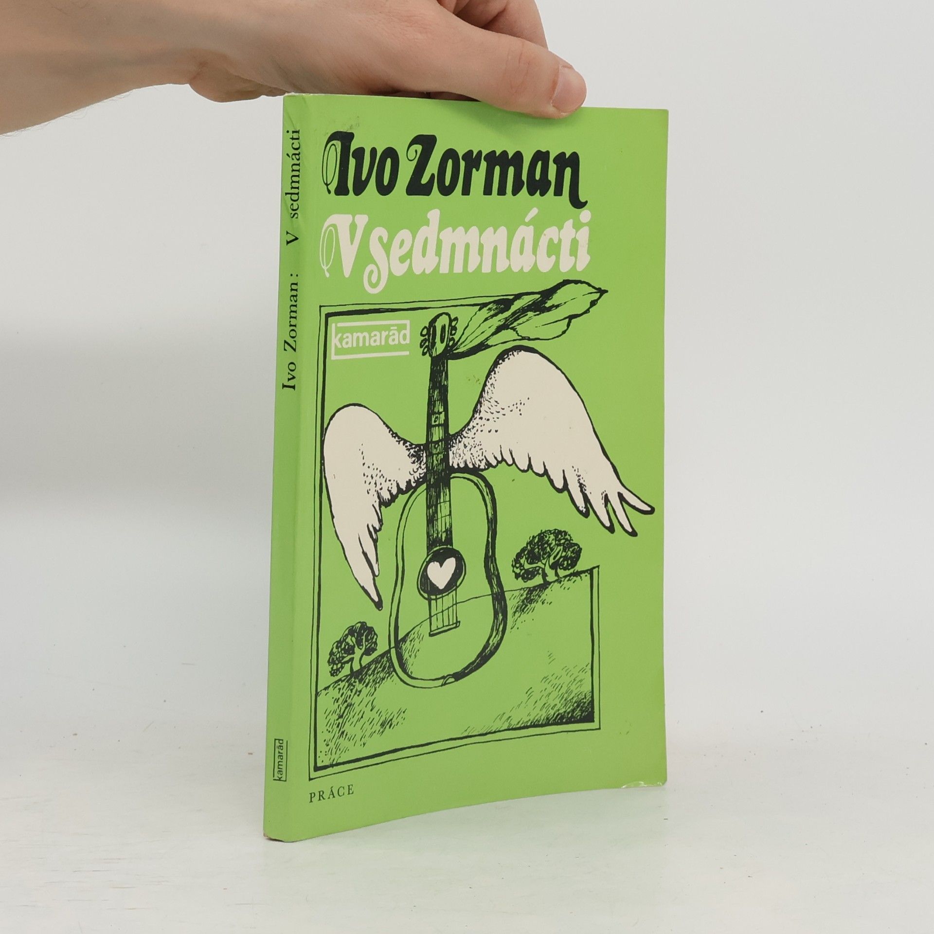 Ivo Zorman V sedmnácti