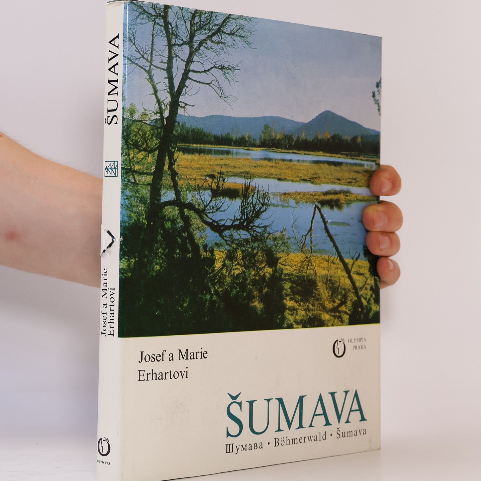 Šumava