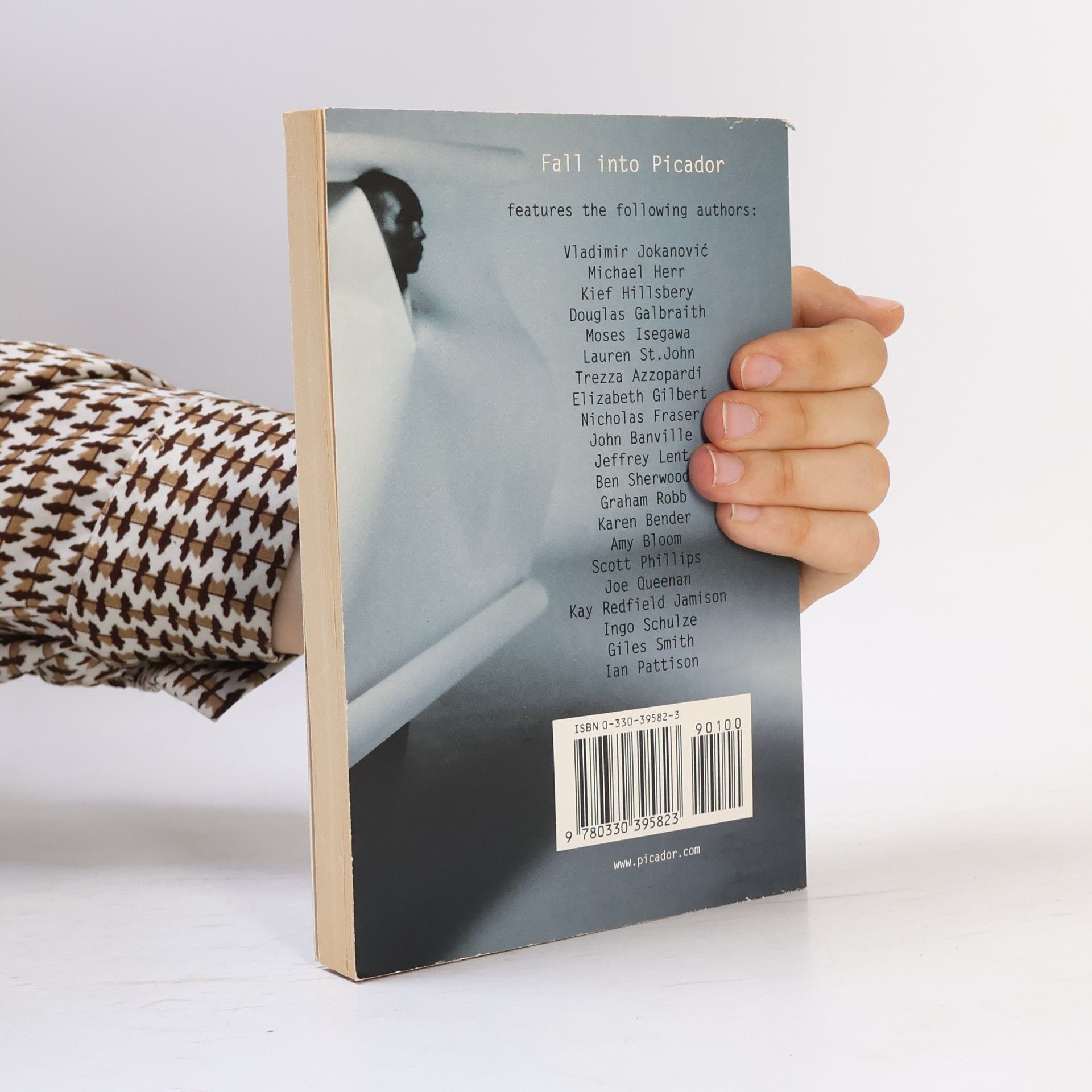 Fall Into Picador
