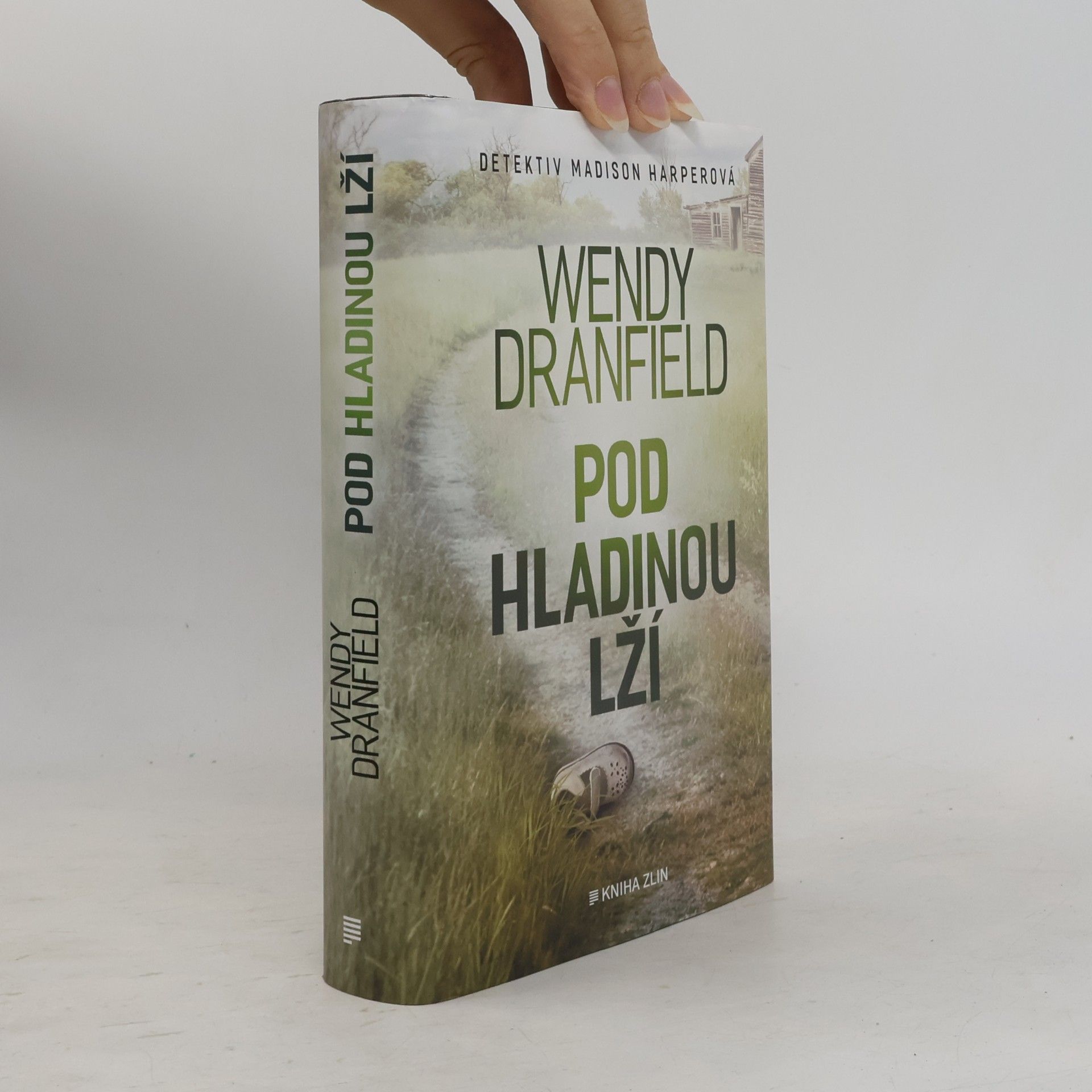 Wendy Dranfield Pod hladinou lží