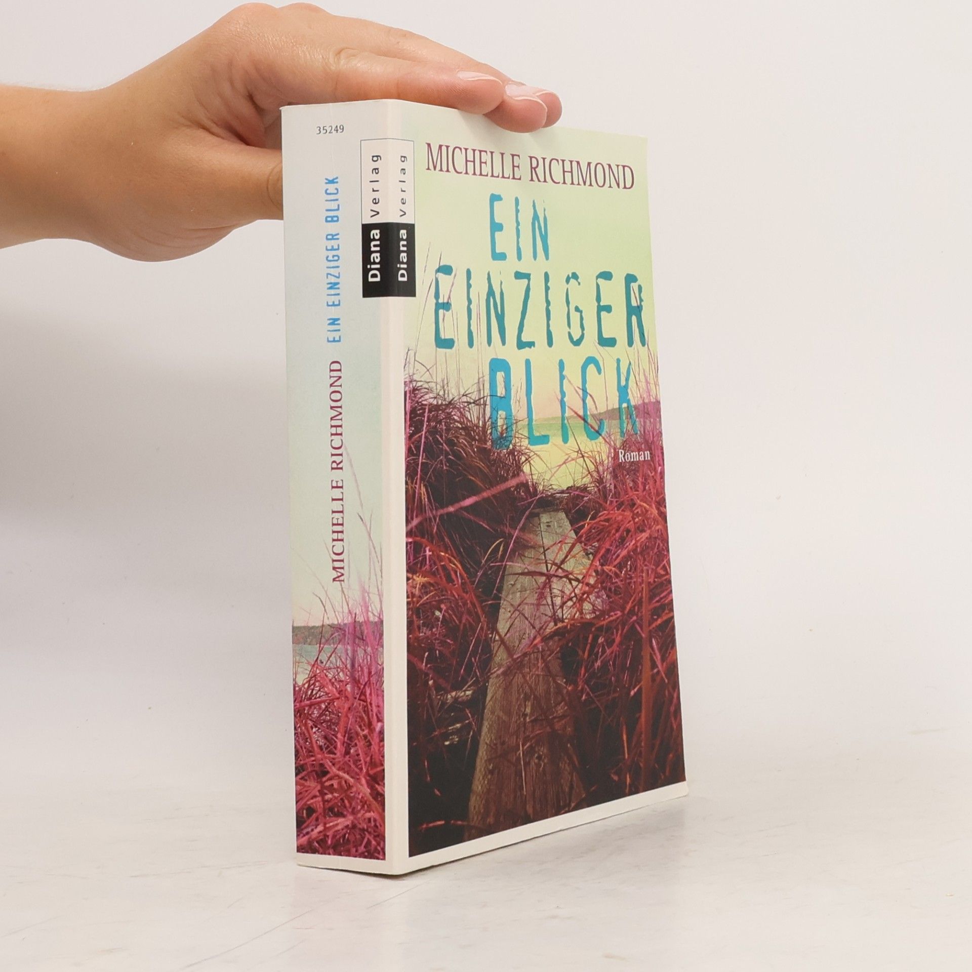 Michelle Richmond Ein einziger Blick
