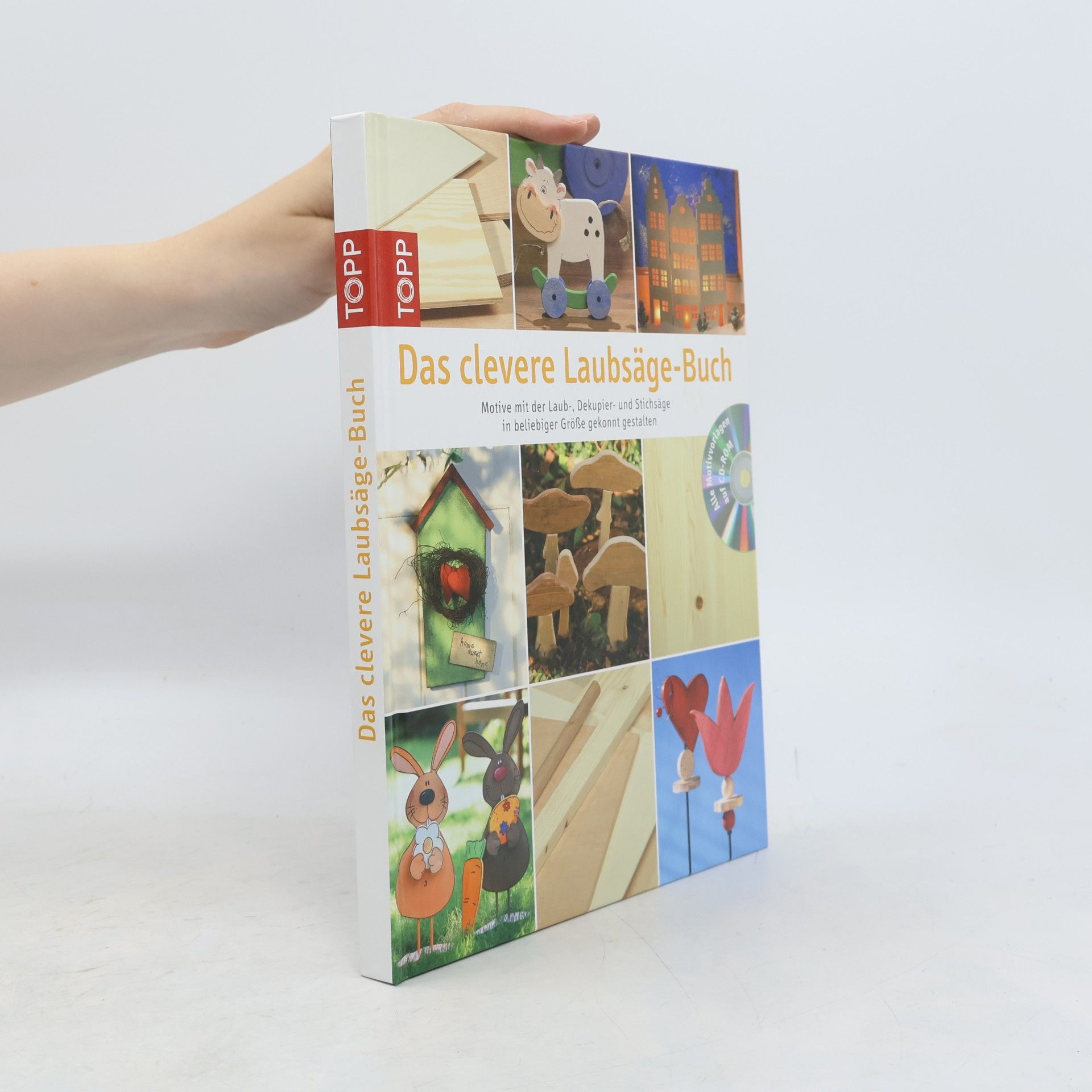Auteurscollectief Das clevere Laubsäge-Buch