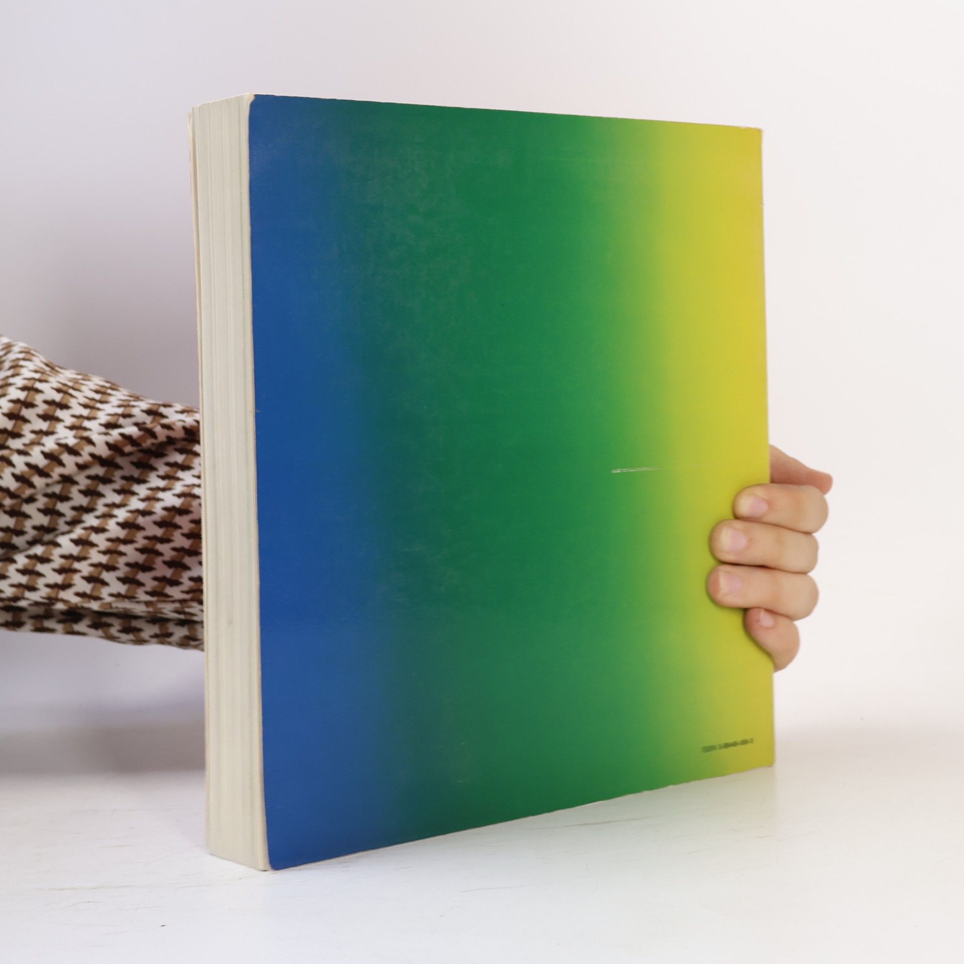 Daniela Palazzoli Die Kunst der Photographie