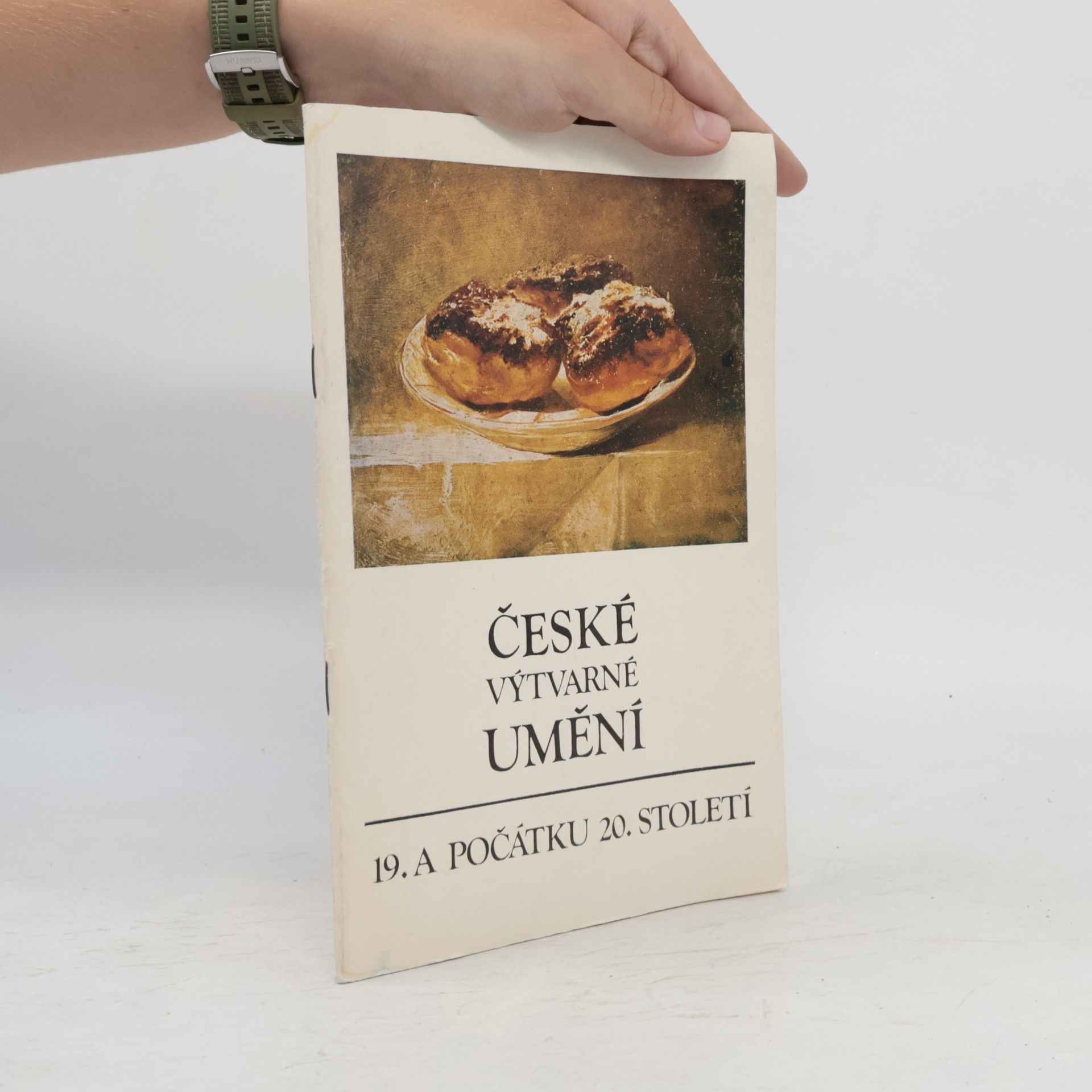 Autorenkollektiv České výtvarné umění 19. a počátku 20. století