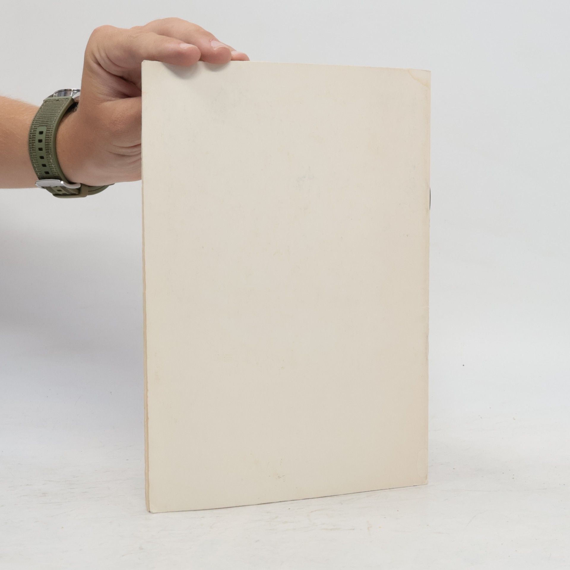Kolektiv autorů České výtvarné umění 19. a počátku 20. století