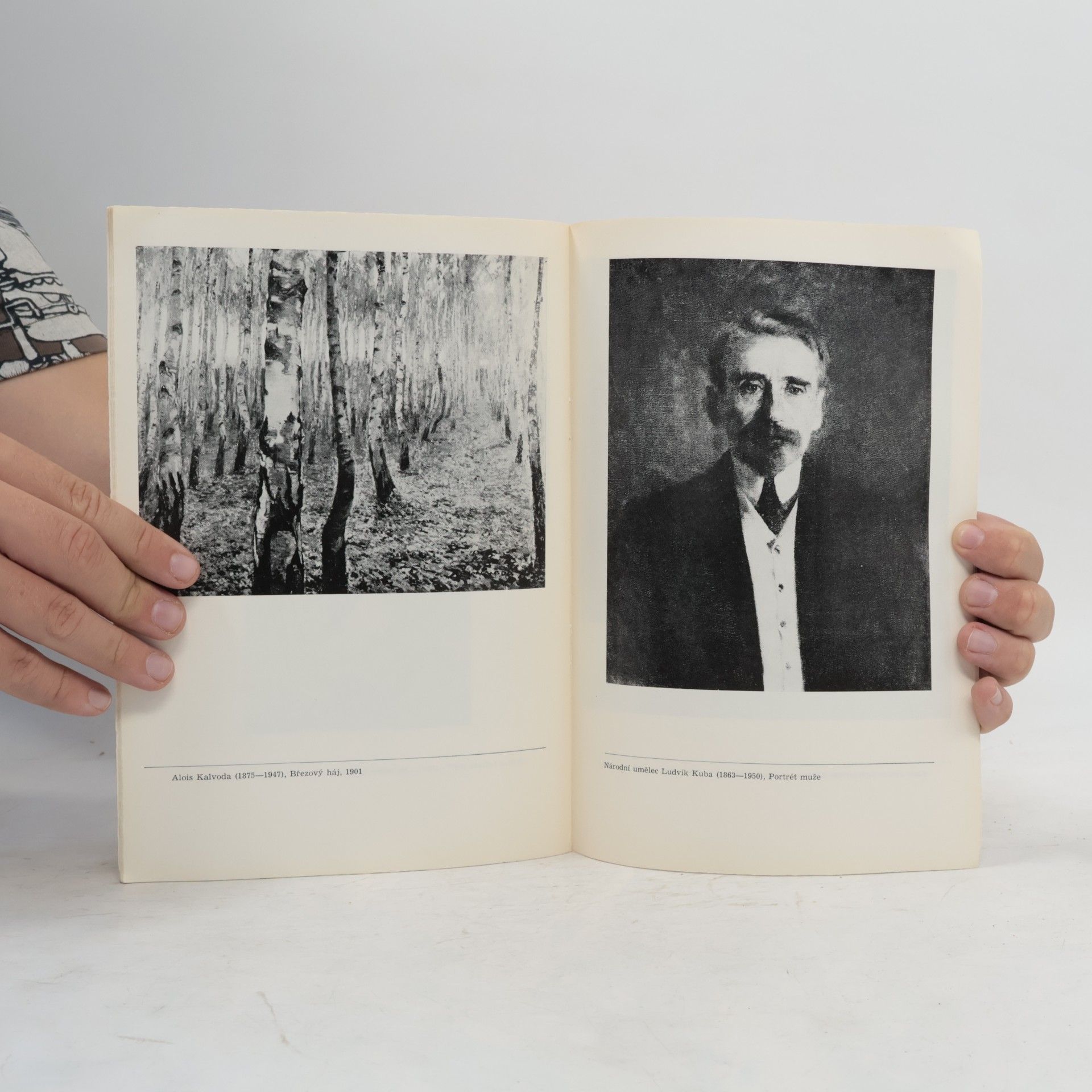 Kolektiv autorů České výtvarné umění 19. a počátku 20. století