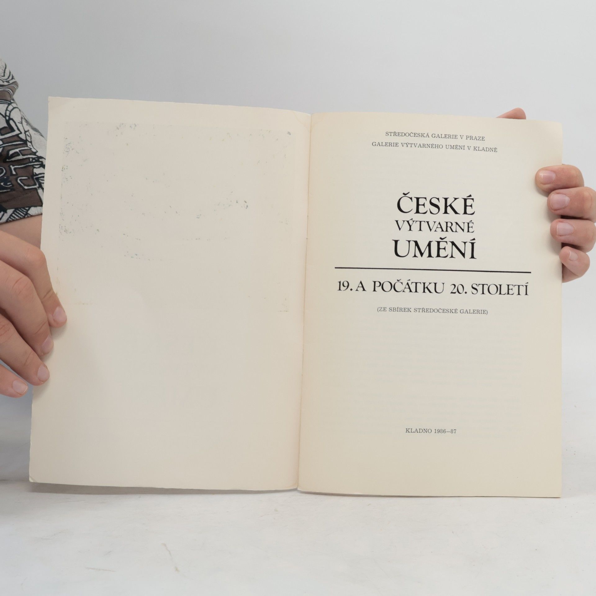 Kolektiv autorů České výtvarné umění 19. a počátku 20. století