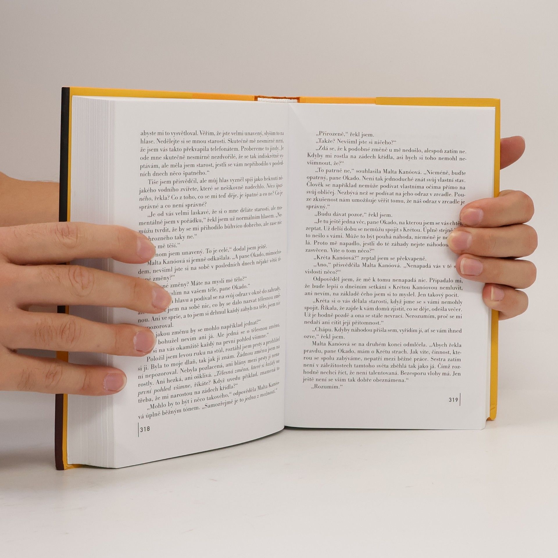 Haruki Murakami Kronika ptáčka na klíček