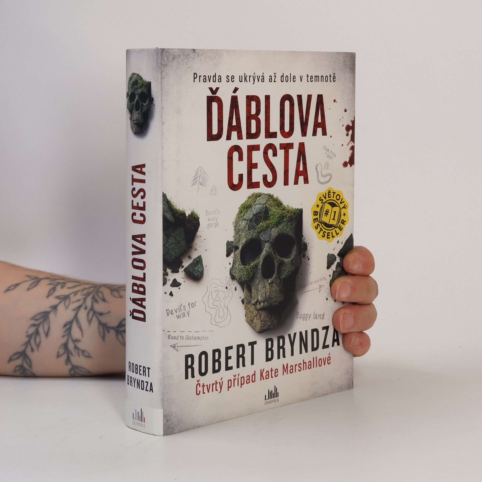Robert Bryndza Ďáblova cesta