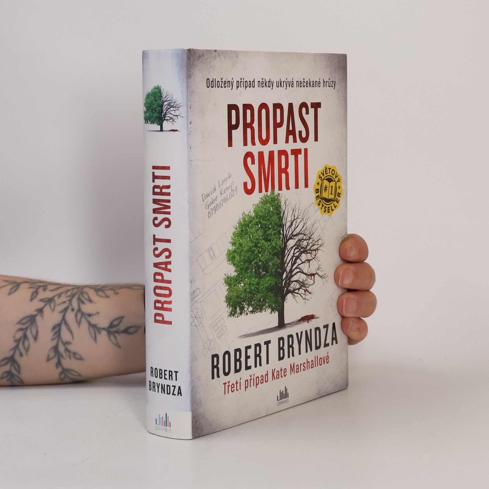 Robert Bryndza Propast smrti