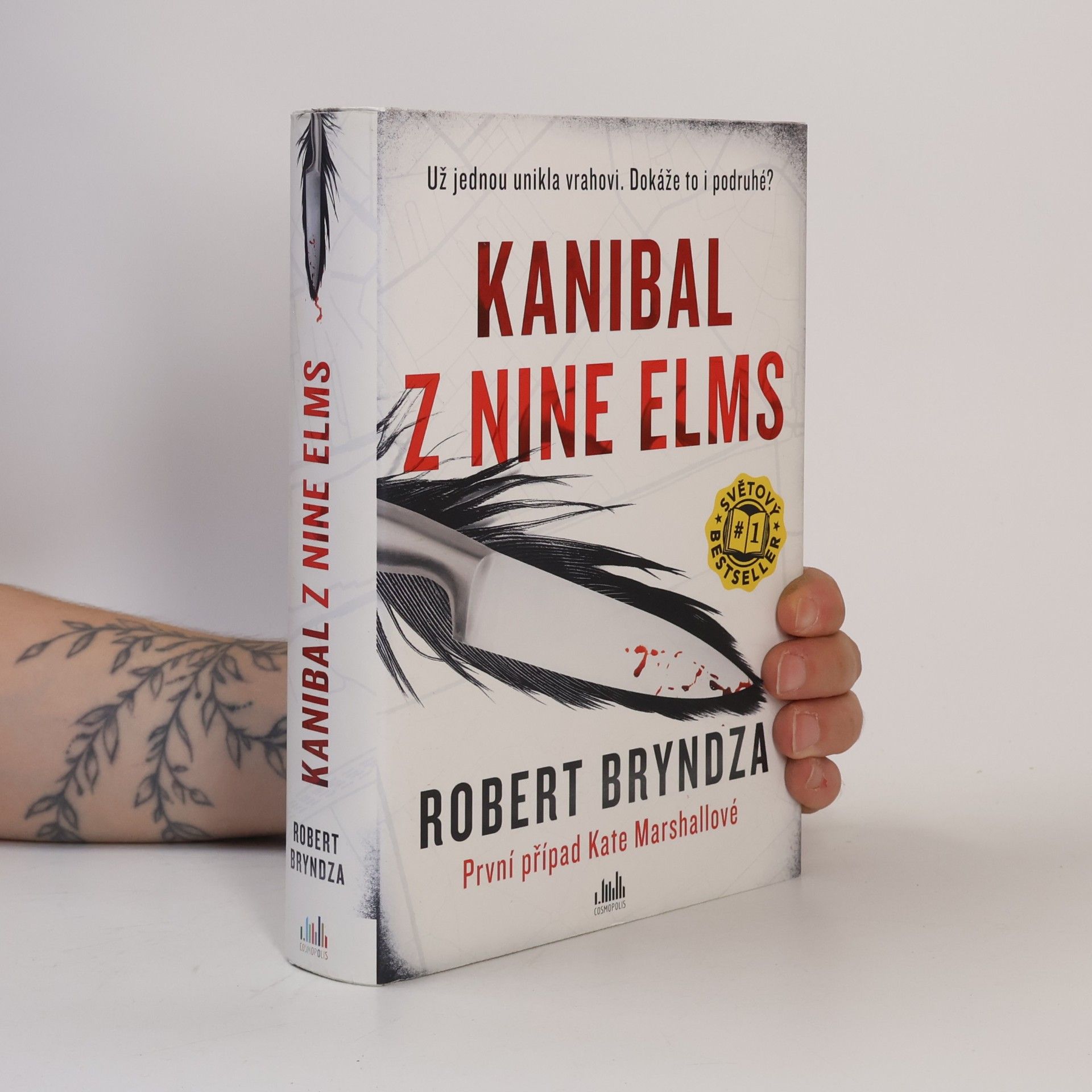 Robert Bryndza Kanibal z Nine Elms