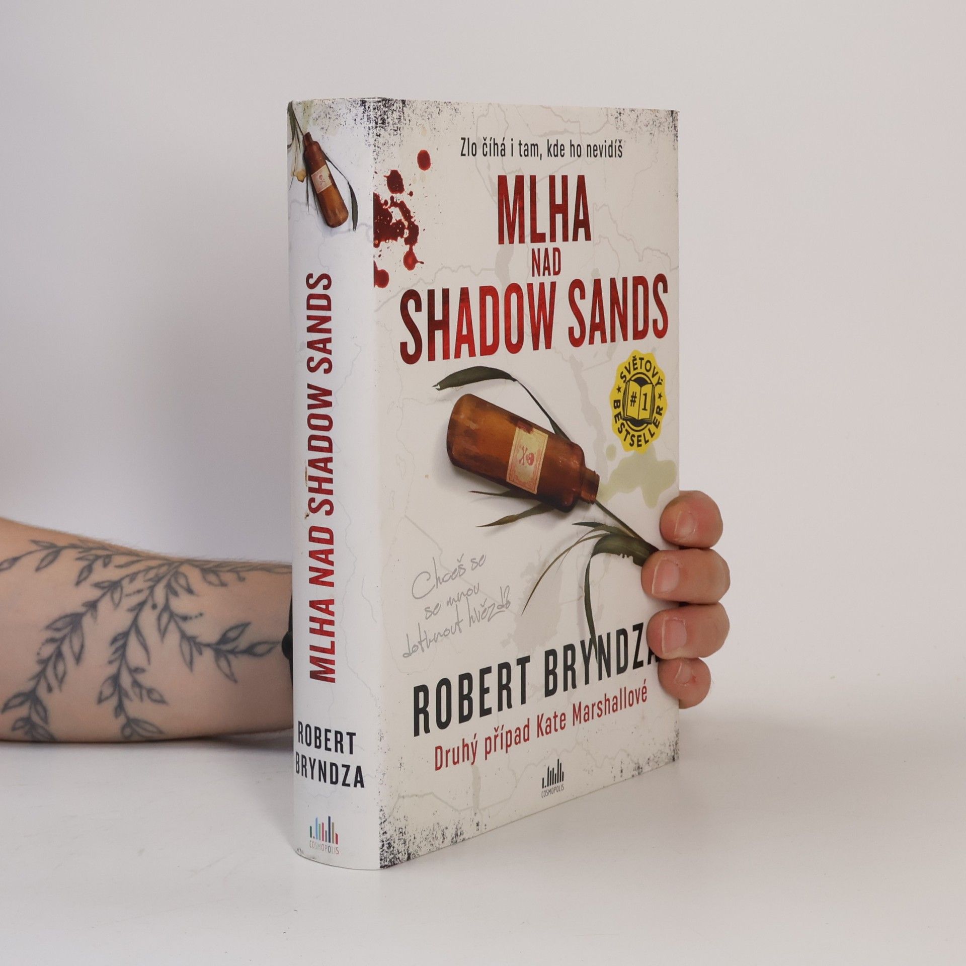 Robert Bryndza Mlha nad Shadow Sands