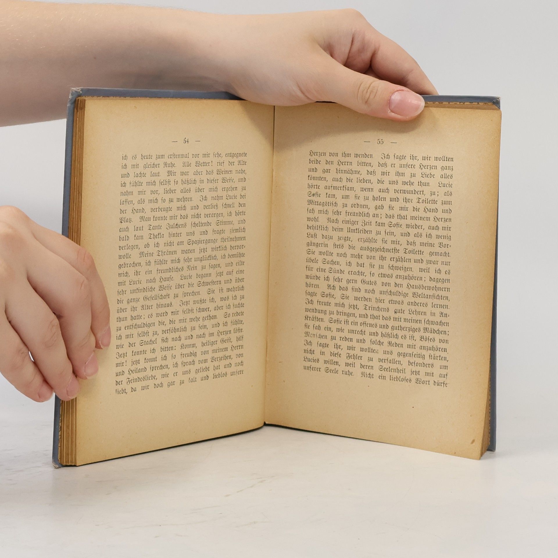 Marie Nathusius Tagebuch eines armen Fräuleins