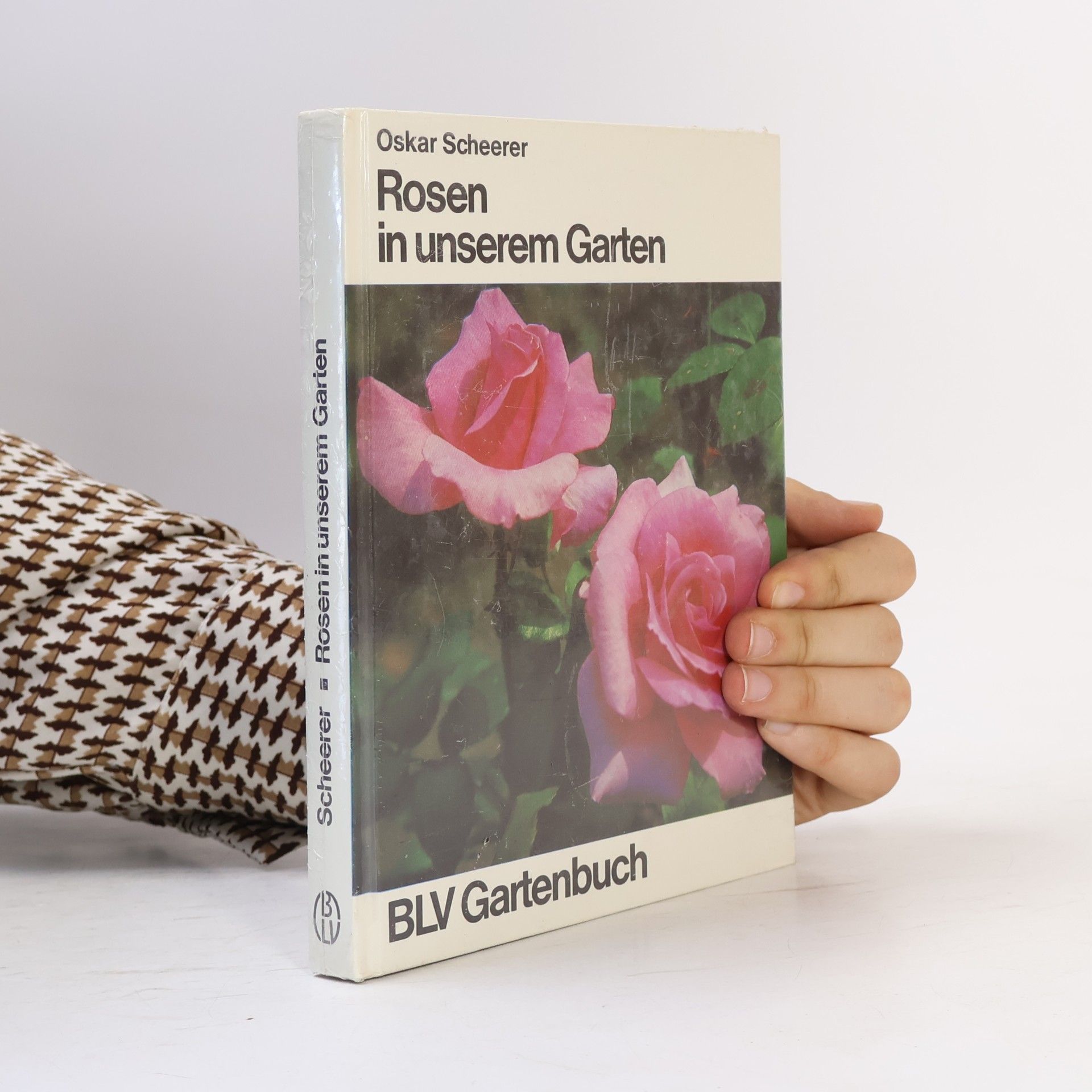 Oskar Scheerer Rosen in unserem Garten