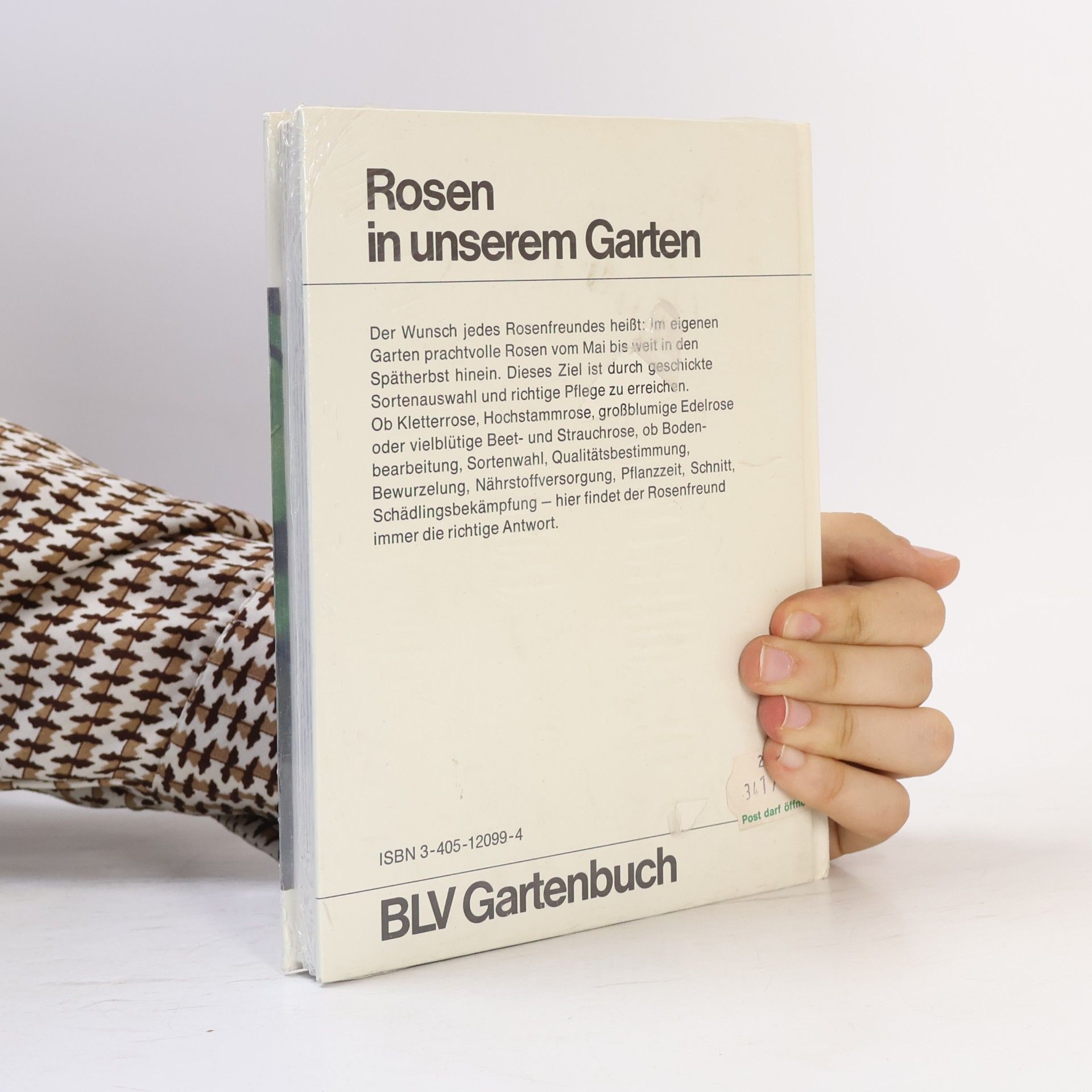 Oskar Scheerer Rosen in unserem Garten