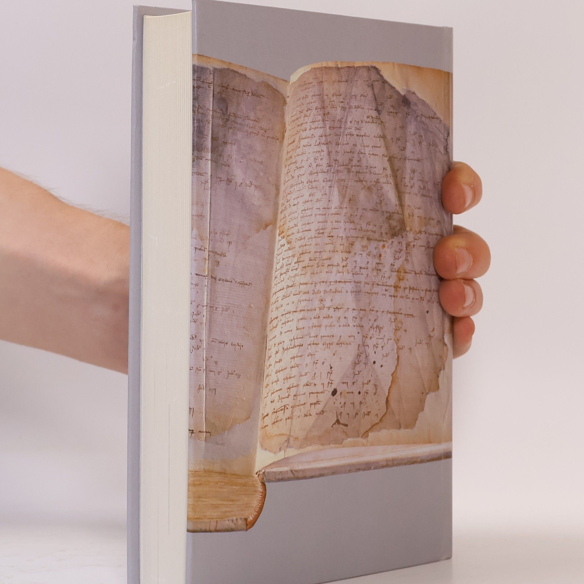 Various authors Dějiny Prahy I. Od nejstarších dob do sloučení pražských měst (1784)