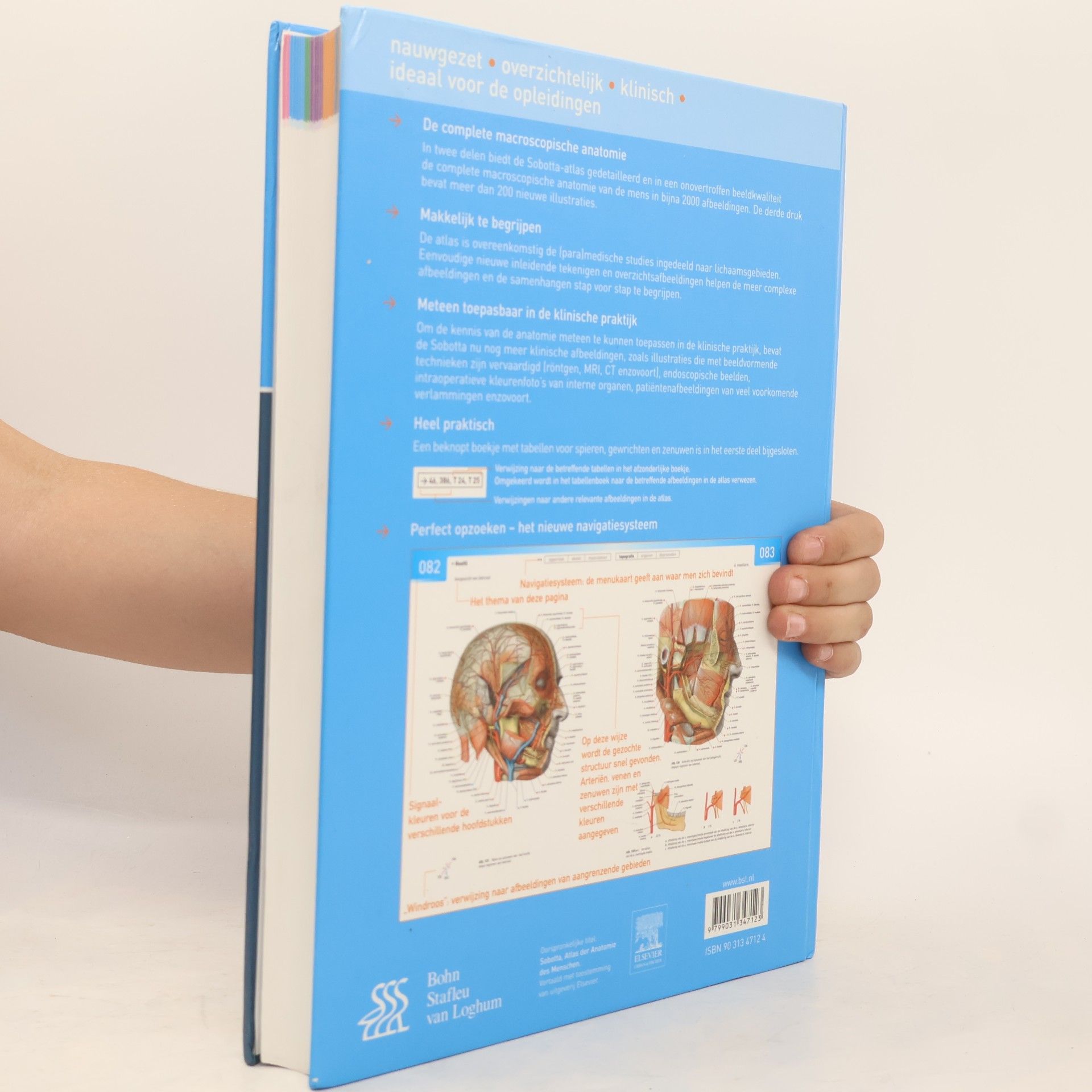 R. Putz Atlas van de menselijke anatomie Deel 1: Hoofd, hals, bovenste extremiteit