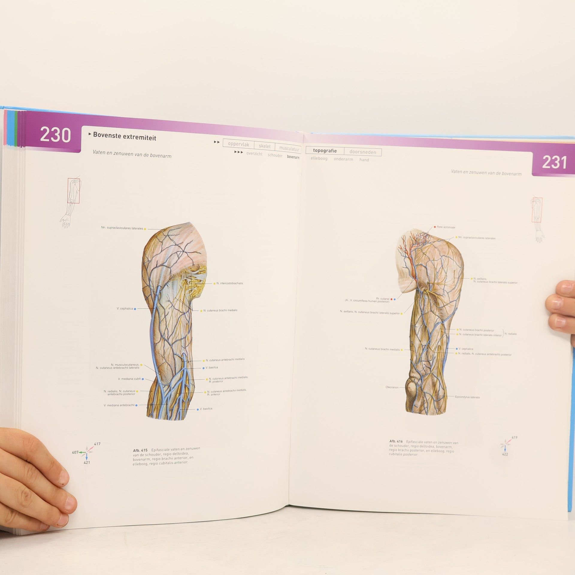 R. Putz Atlas van de menselijke anatomie Deel 1: Hoofd, hals, bovenste extremiteit